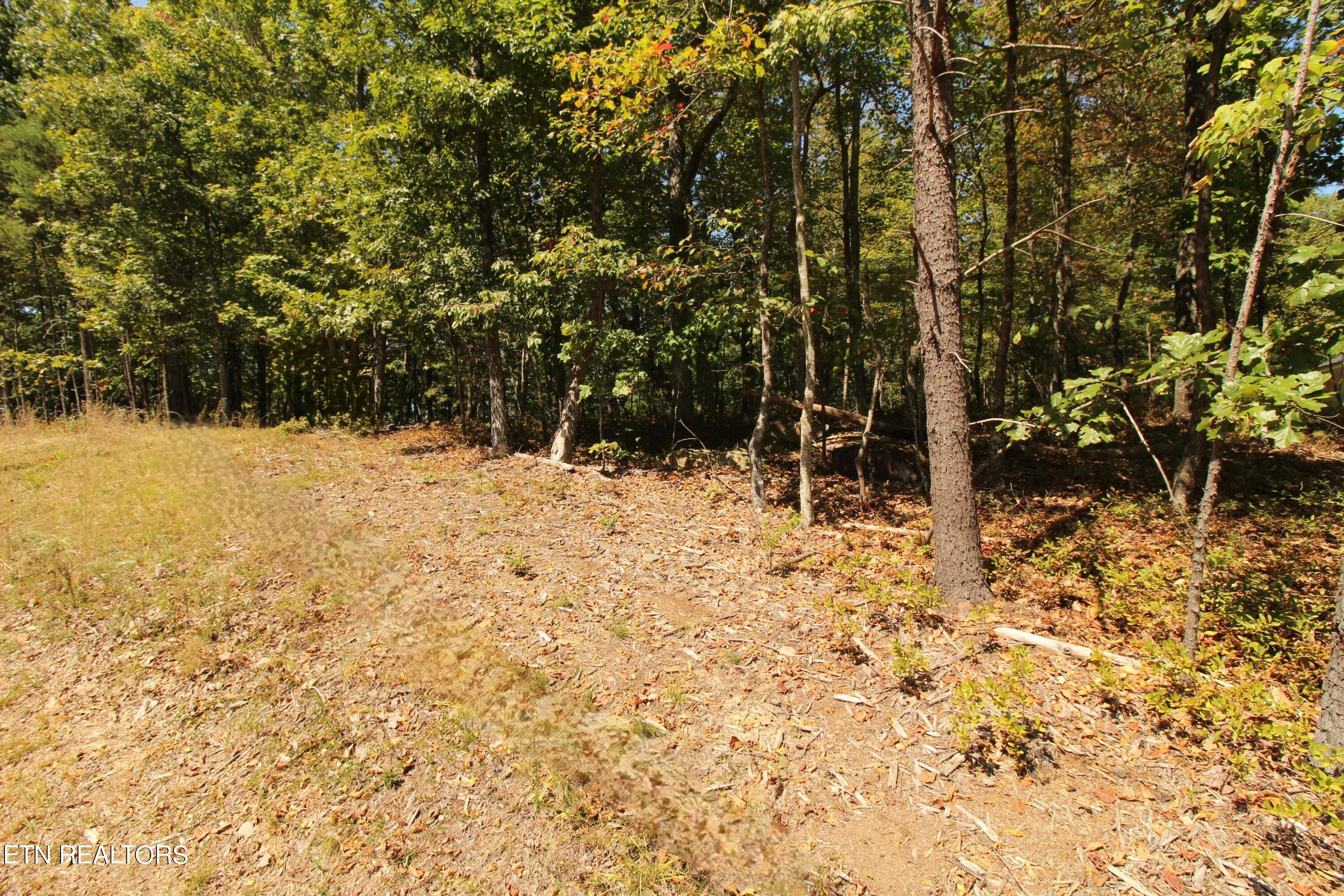 323 Rotherham Drive Fairfield Glade TN 38558