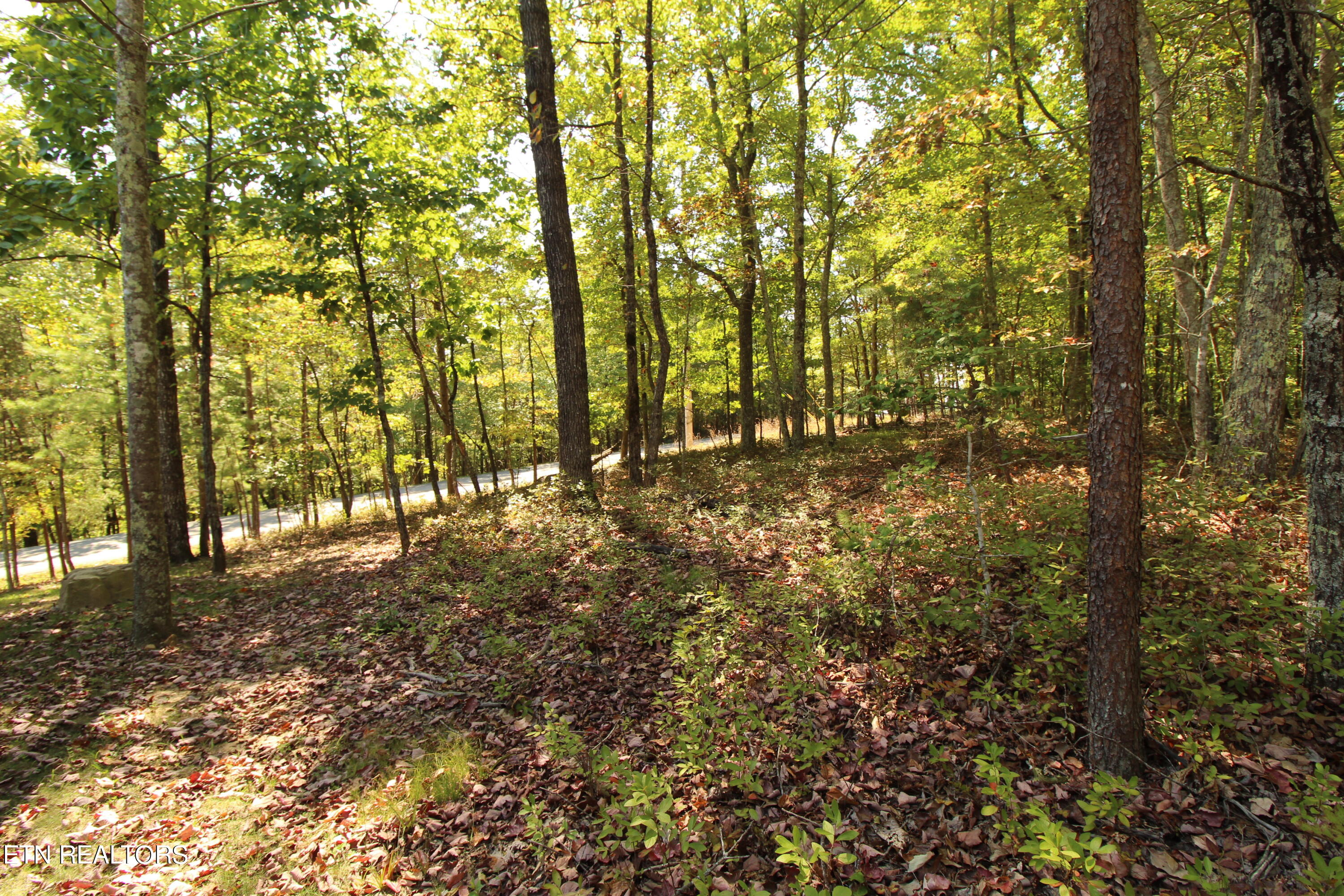 323 Rotherham Drive Fairfield Glade TN 38558