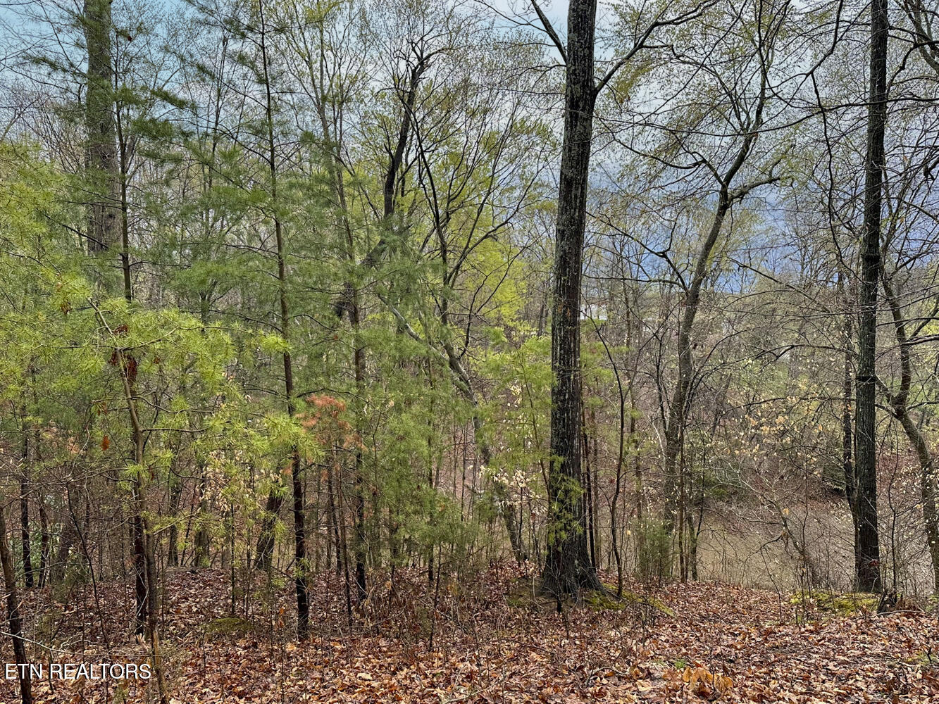 0 David Swann Drive Dandridge TN 37725