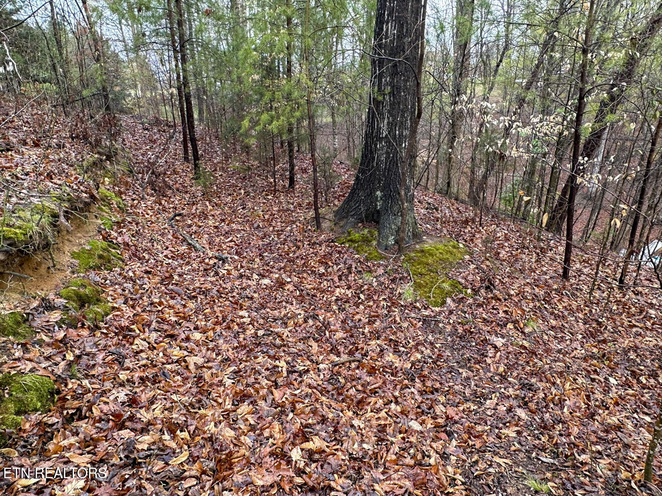 0 David Swann Drive Dandridge TN 37725