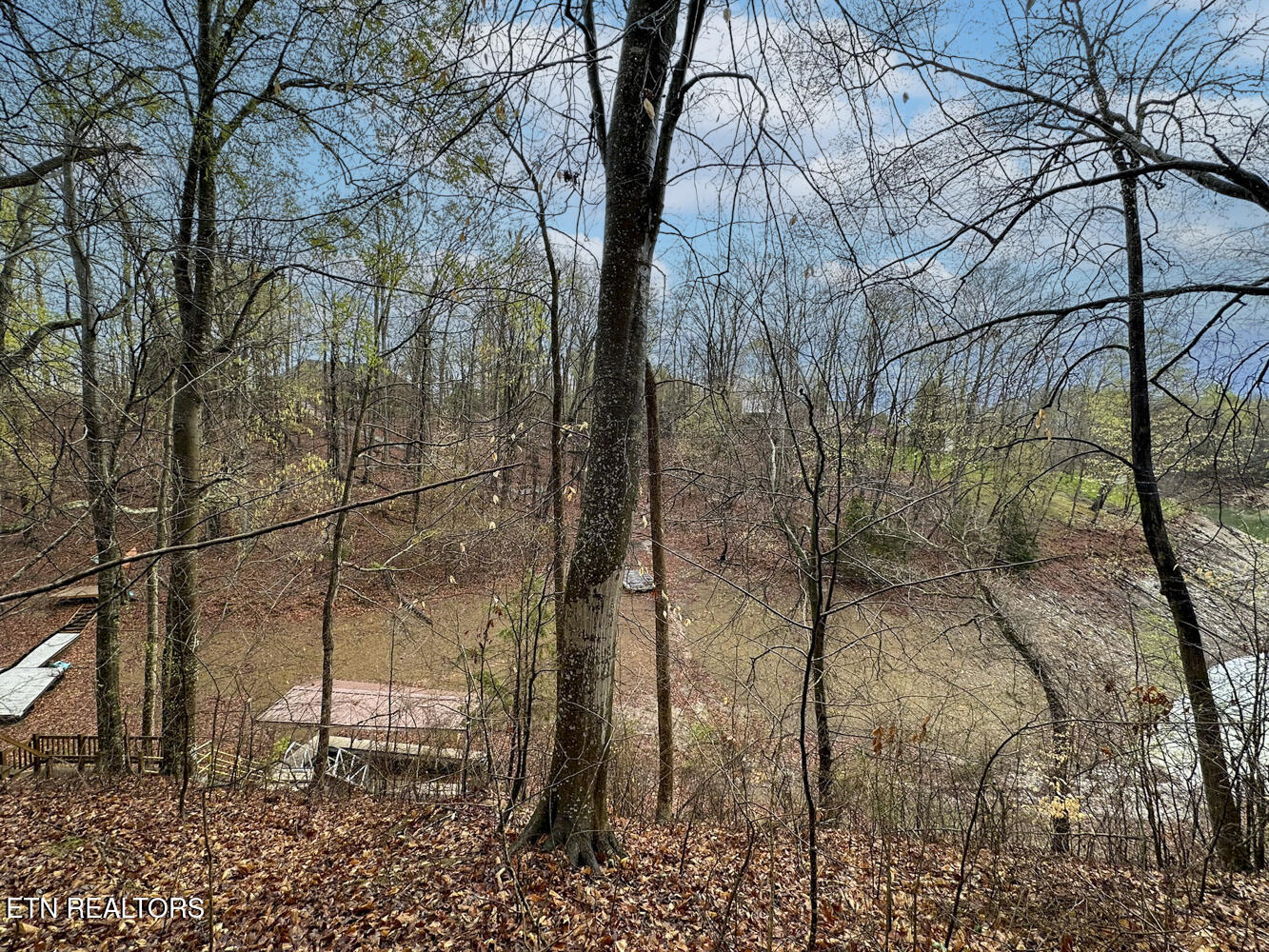 0 David Swann Drive Dandridge TN 37725