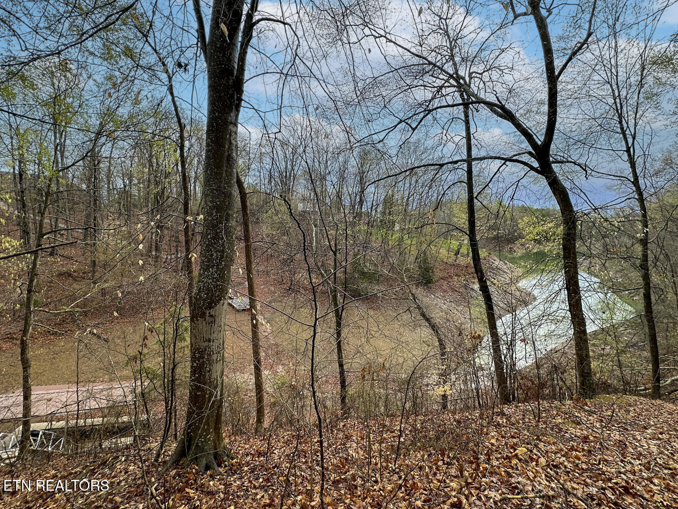 0 David Swann Drive Dandridge TN 37725