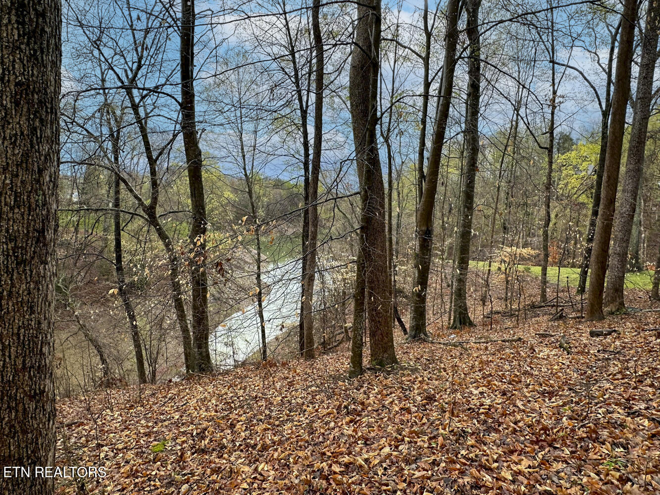 0 David Swann Drive Dandridge TN 37725