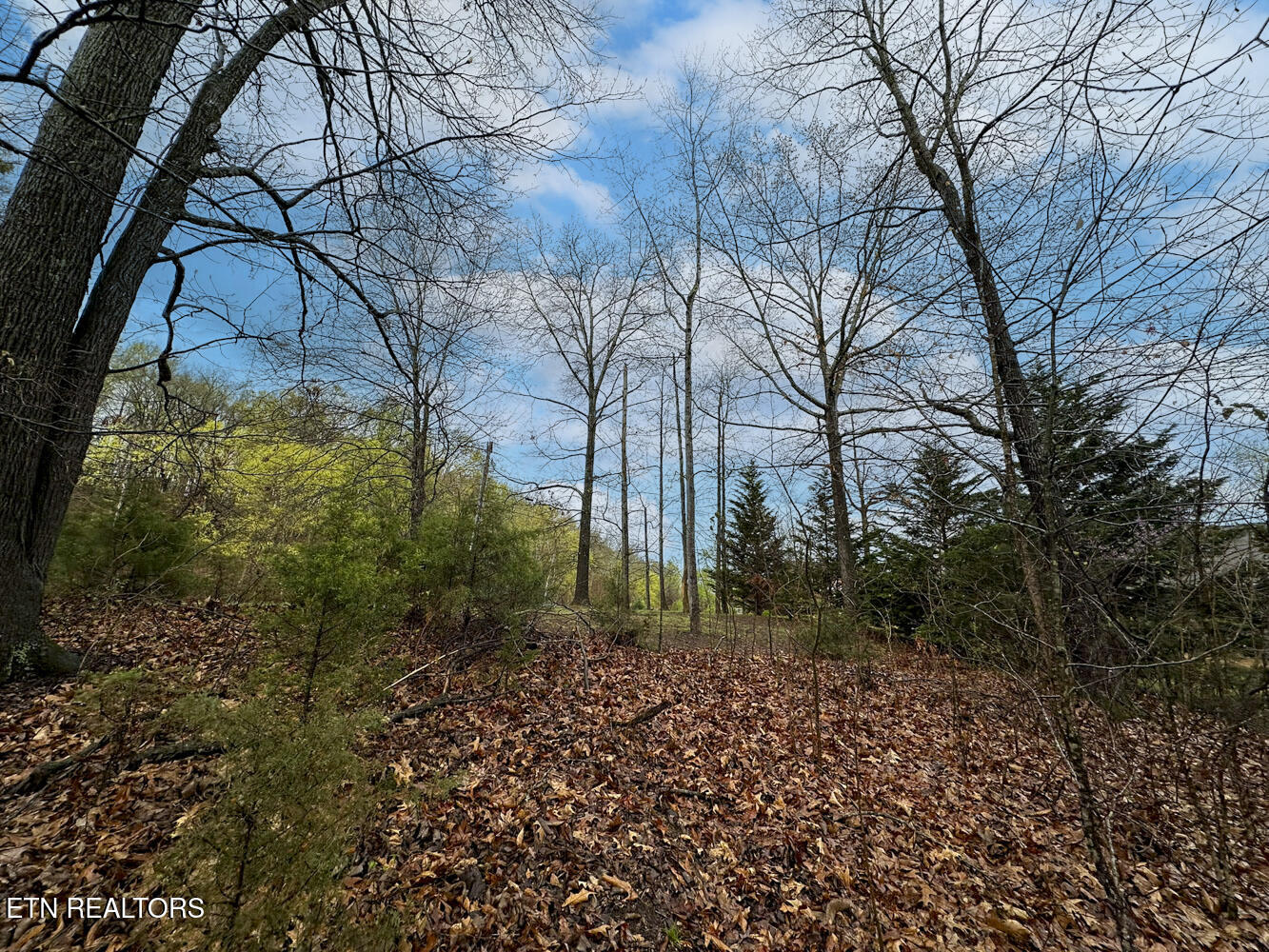 0 David Swann Drive Dandridge TN 37725