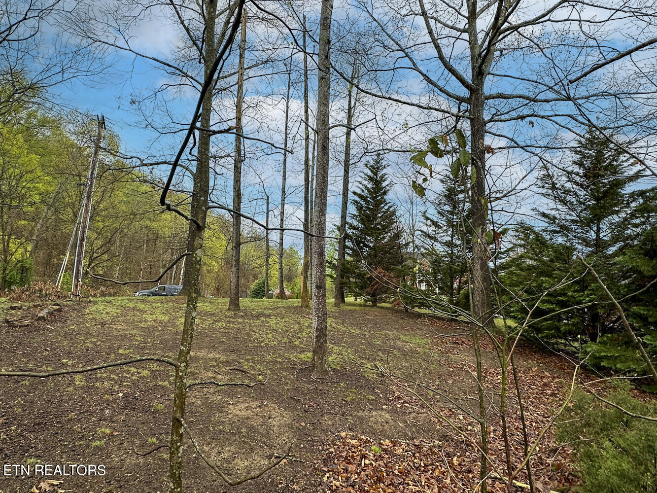 0 David Swann Drive Dandridge TN 37725