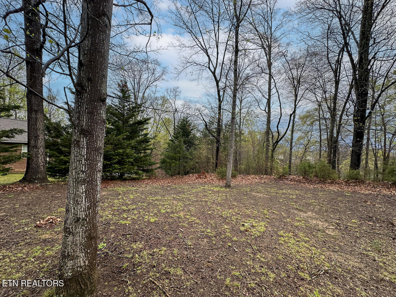 0 David Swann Drive Dandridge TN 37725