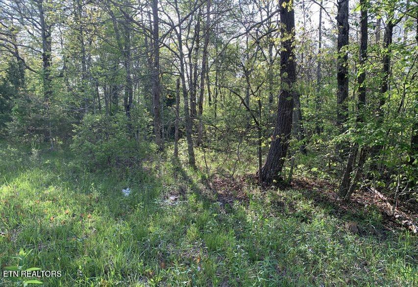 1035 Redwing Drive Crossville TN 38572