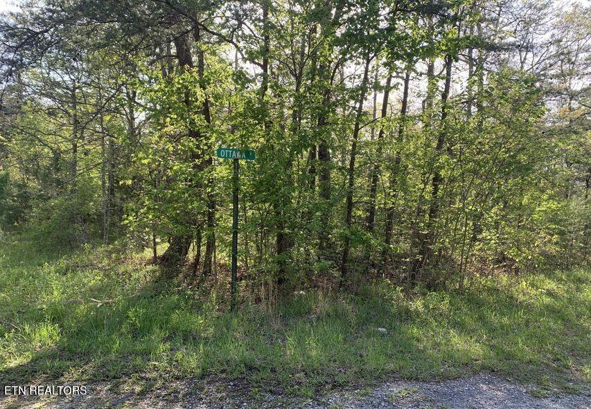 1035 Redwing Drive Crossville TN 38572