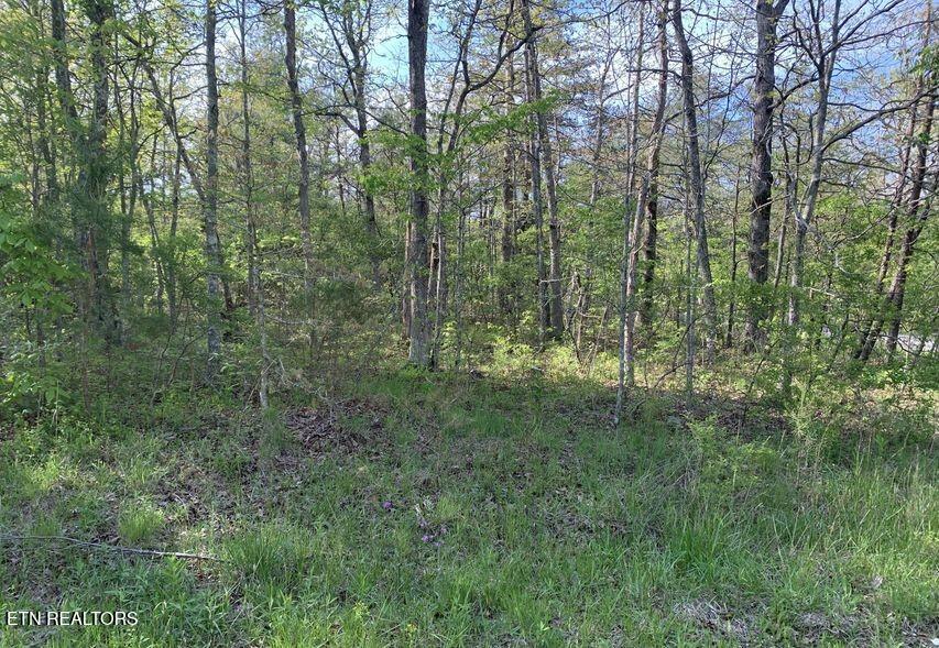 1035 Redwing Drive Crossville TN 38572