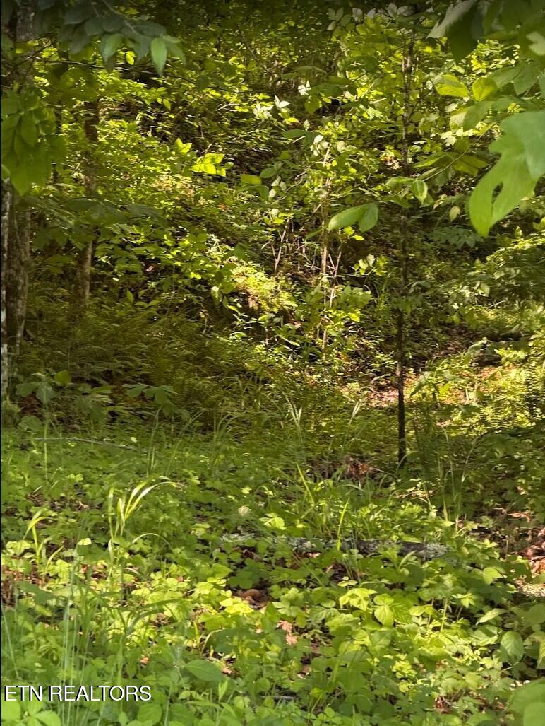 0 Spring Creek Road Cookeville TN 38501