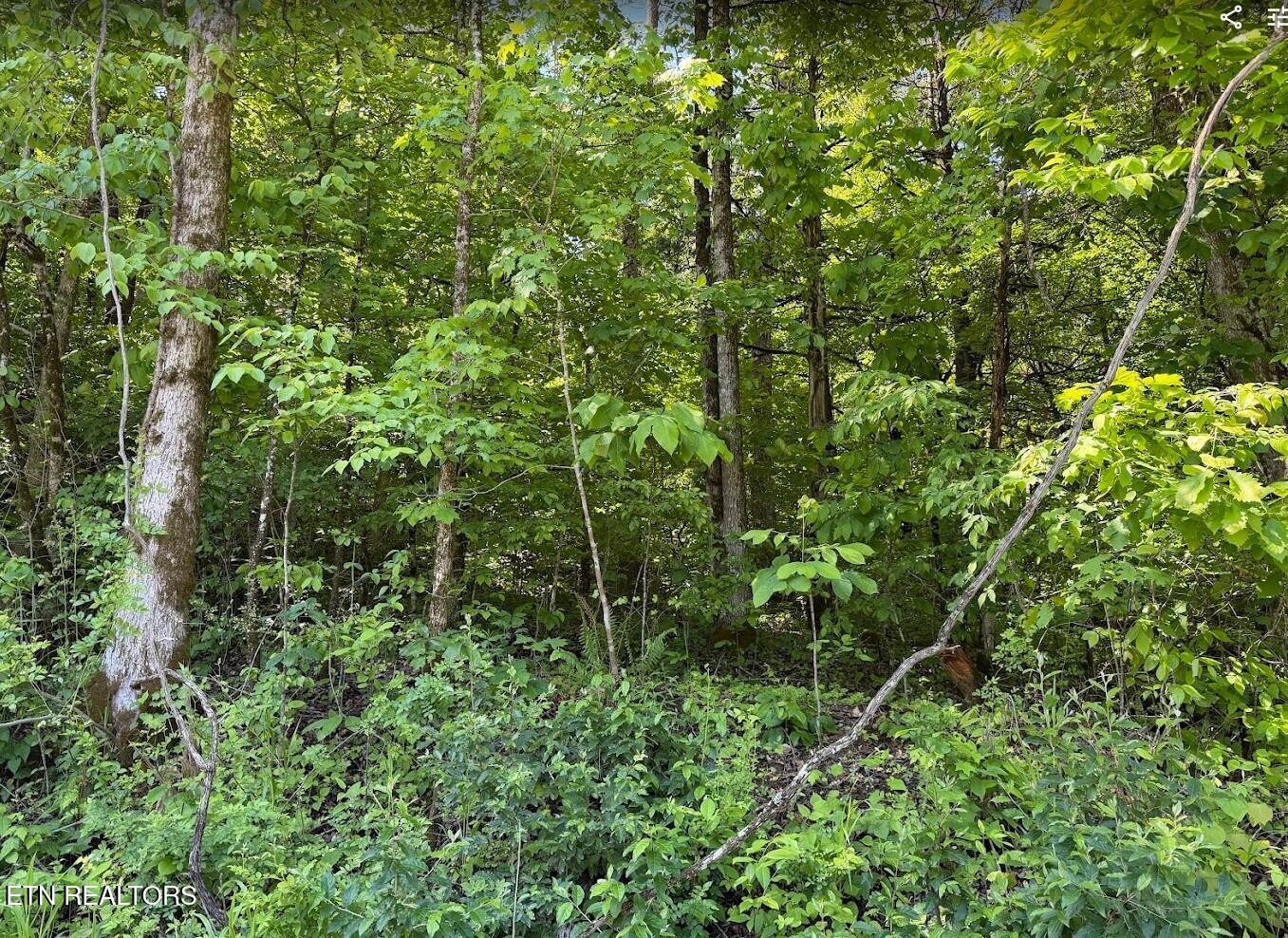 0 Spring Creek Road Cookeville TN 38501