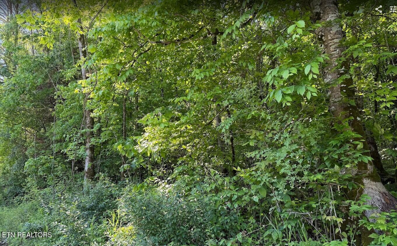 0 Spring Creek Road Cookeville TN 38501