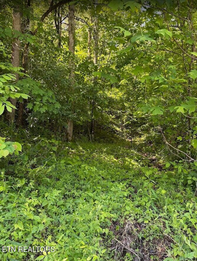 0 Spring Creek Road Cookeville TN 38501