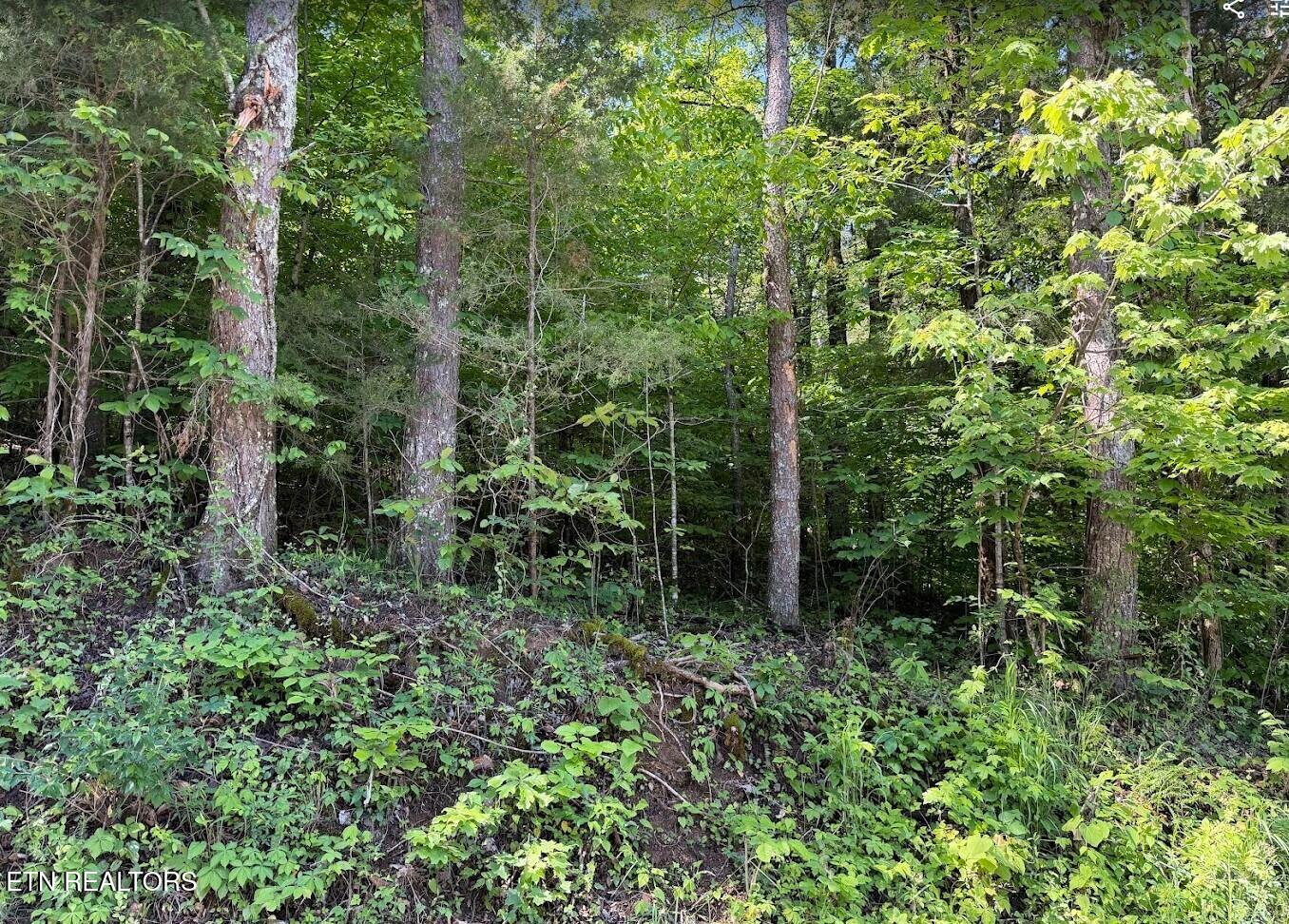0 Spring Creek Road Cookeville TN 38501