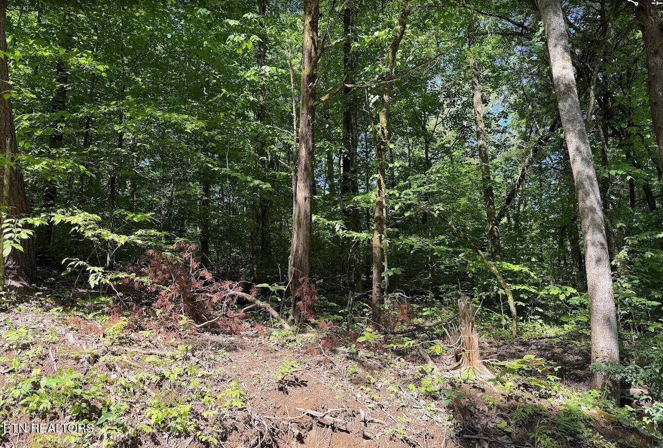 0 Spring Creek Road Cookeville TN 38501