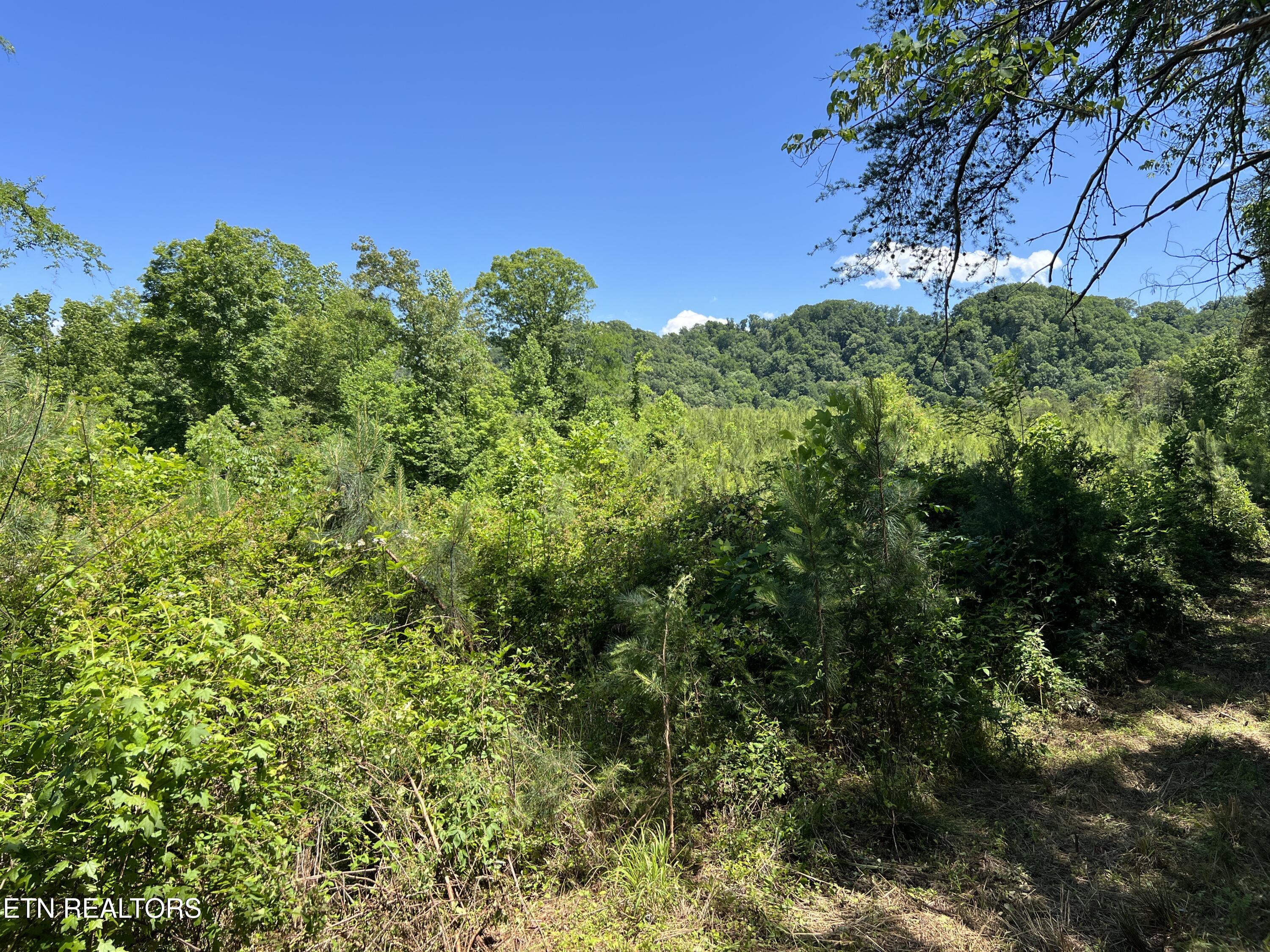 256 Atkins Road Madisonville TN 37354
