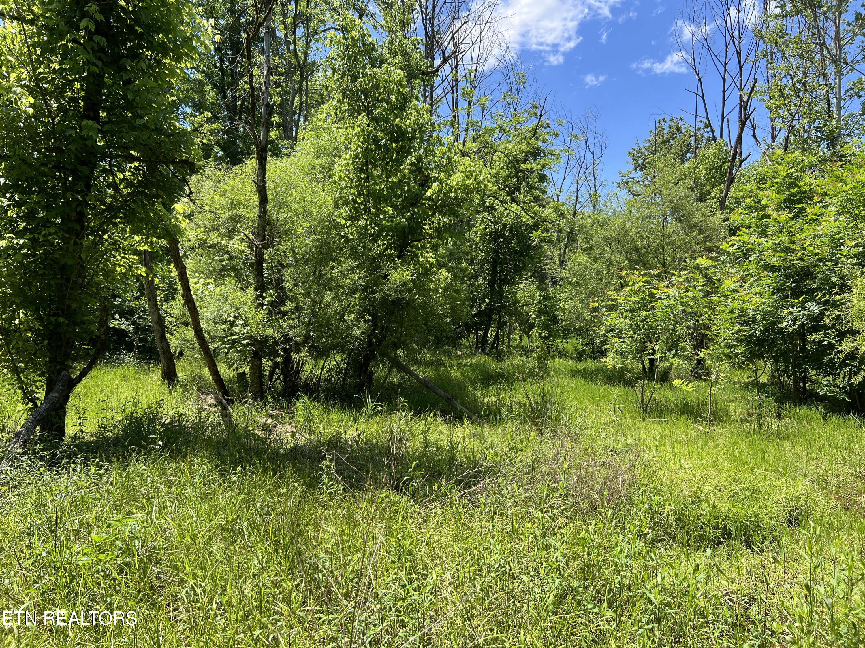 256 Atkins Road Madisonville TN 37354