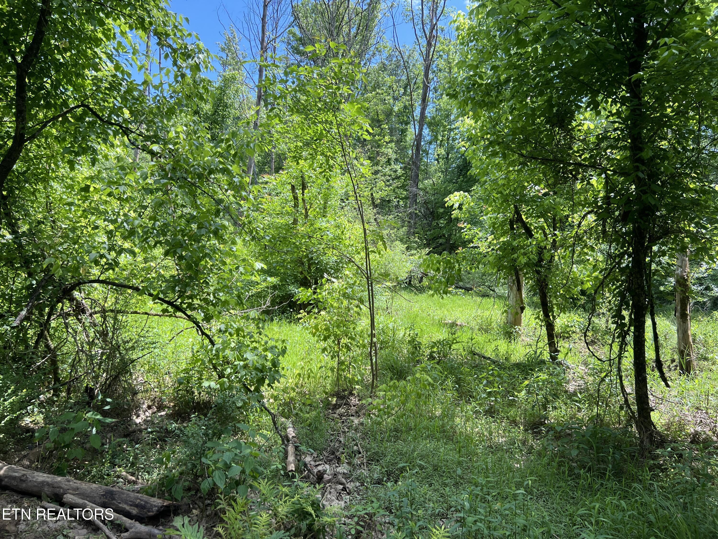 256 Atkins Road Madisonville TN 37354