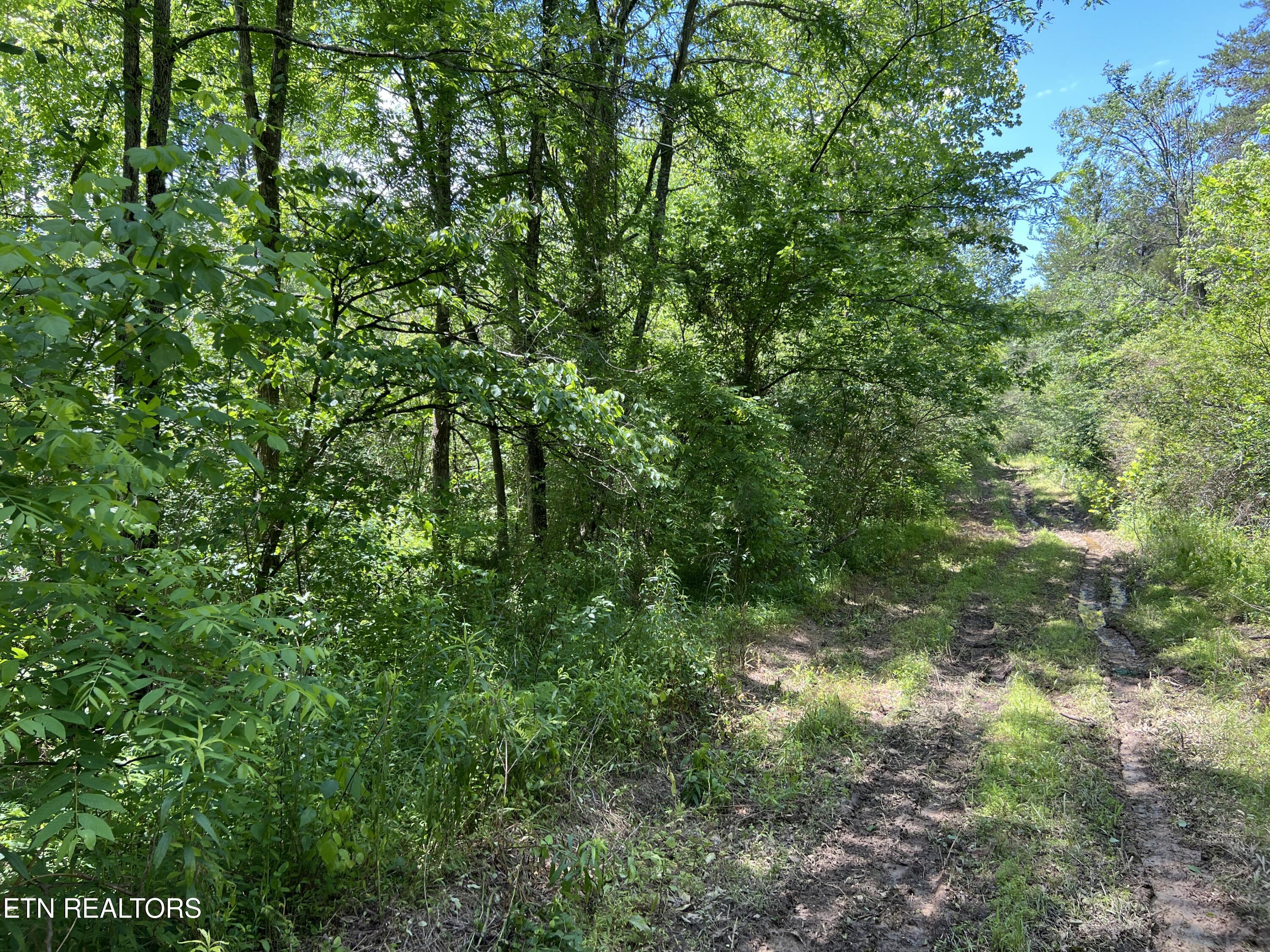 256 Atkins Road Madisonville TN 37354