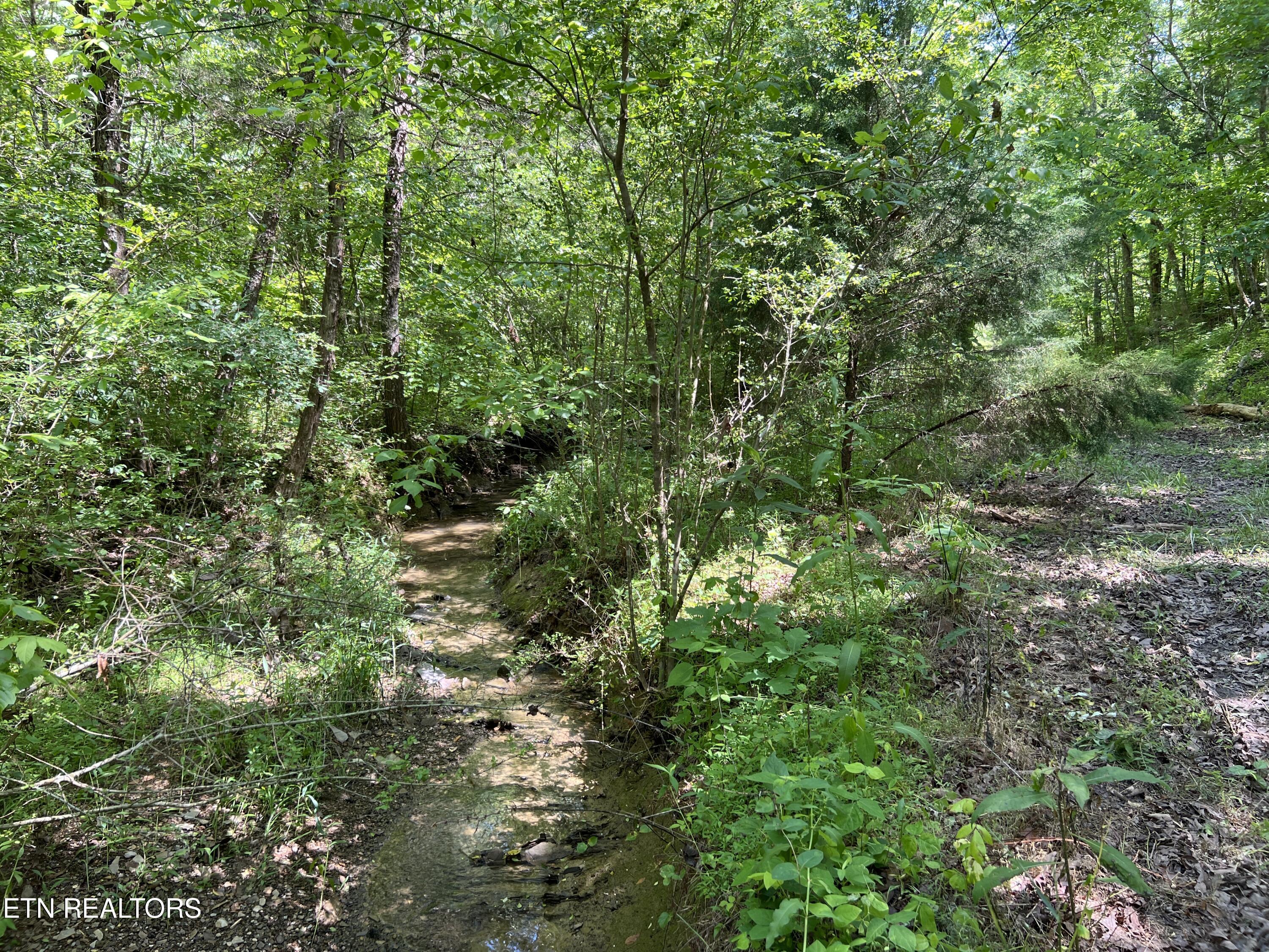 256 Atkins Road Madisonville TN 37354