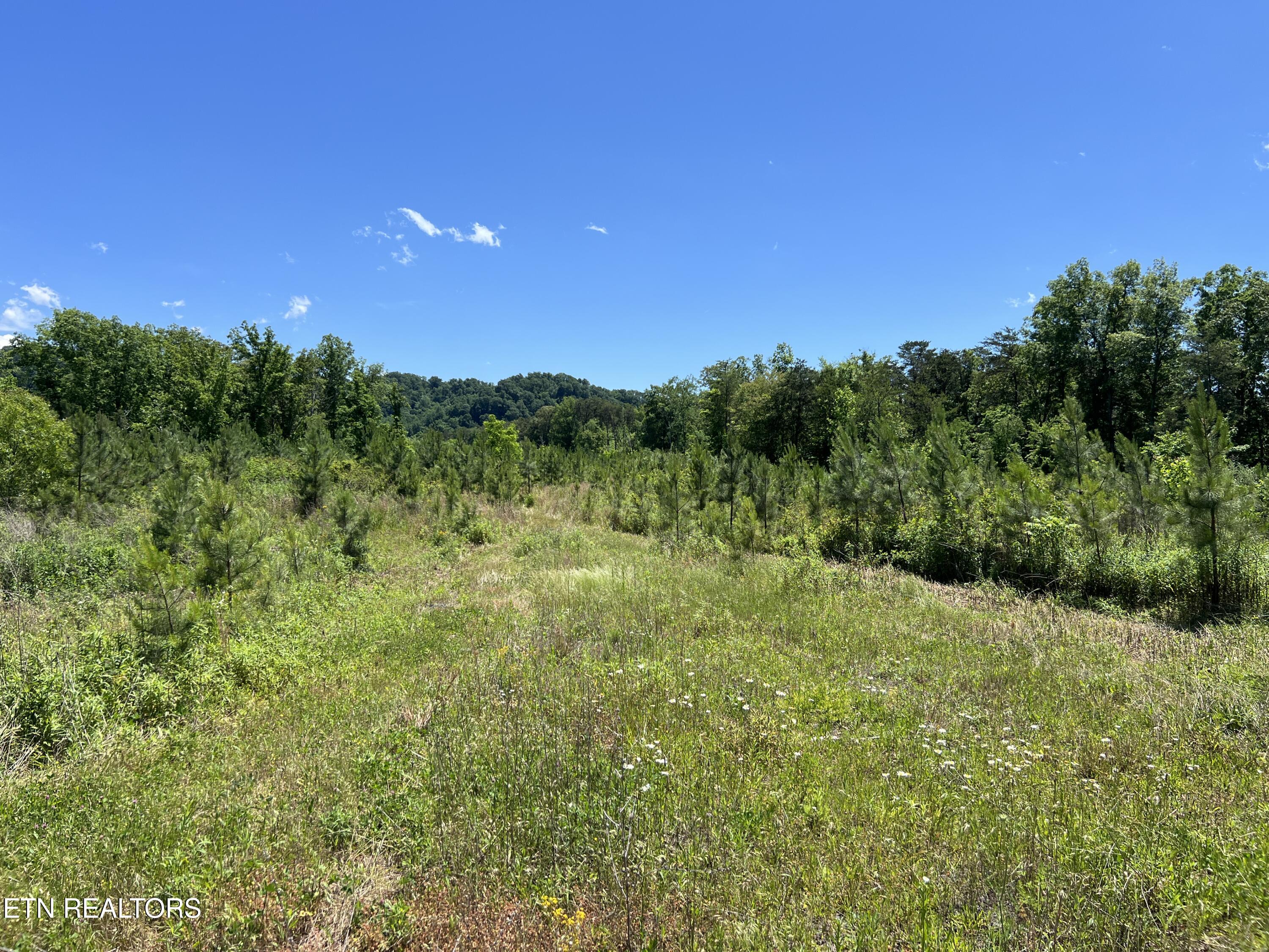 256 Atkins Road Madisonville TN 37354