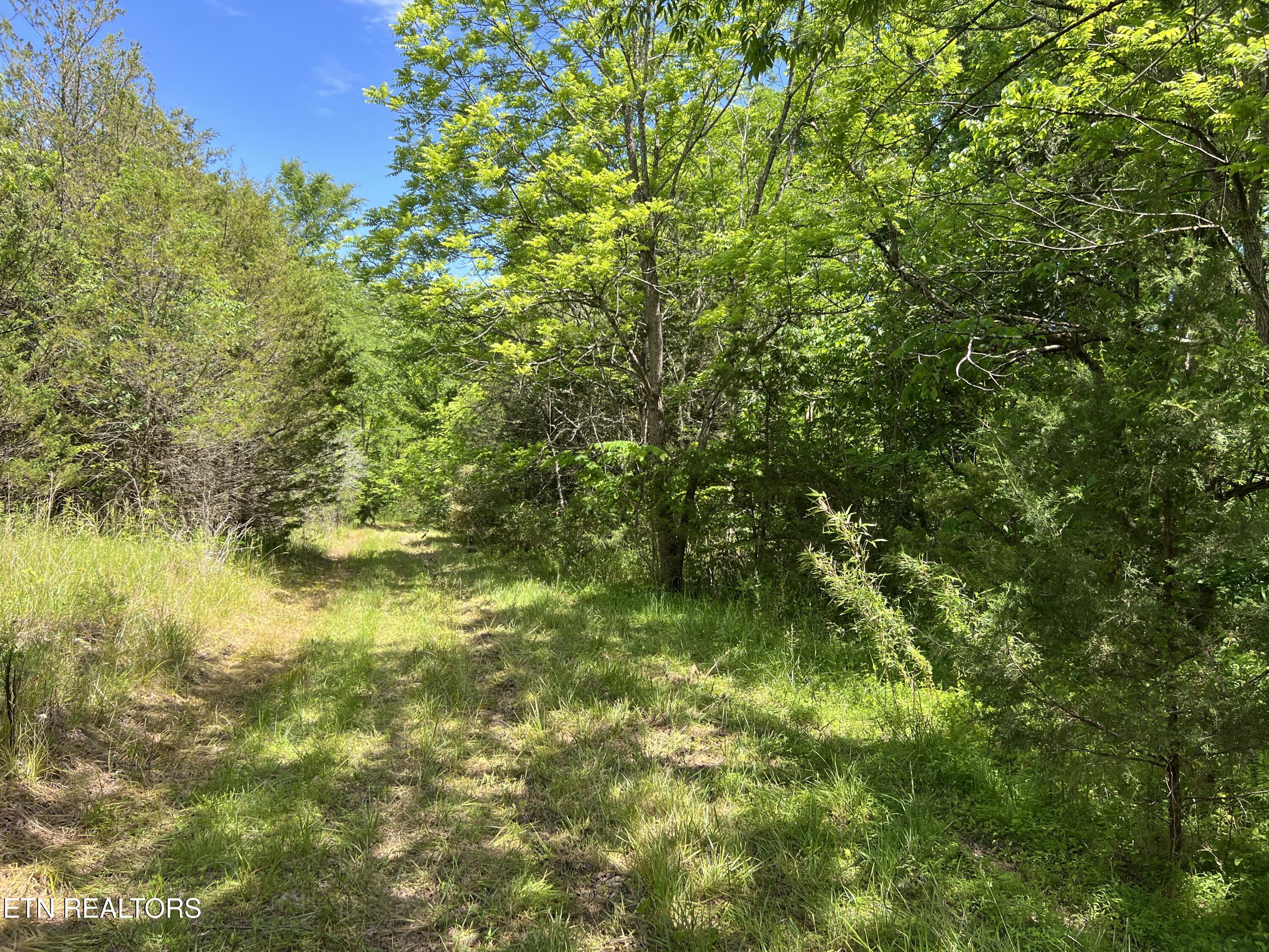 256 Atkins Road Madisonville TN 37354