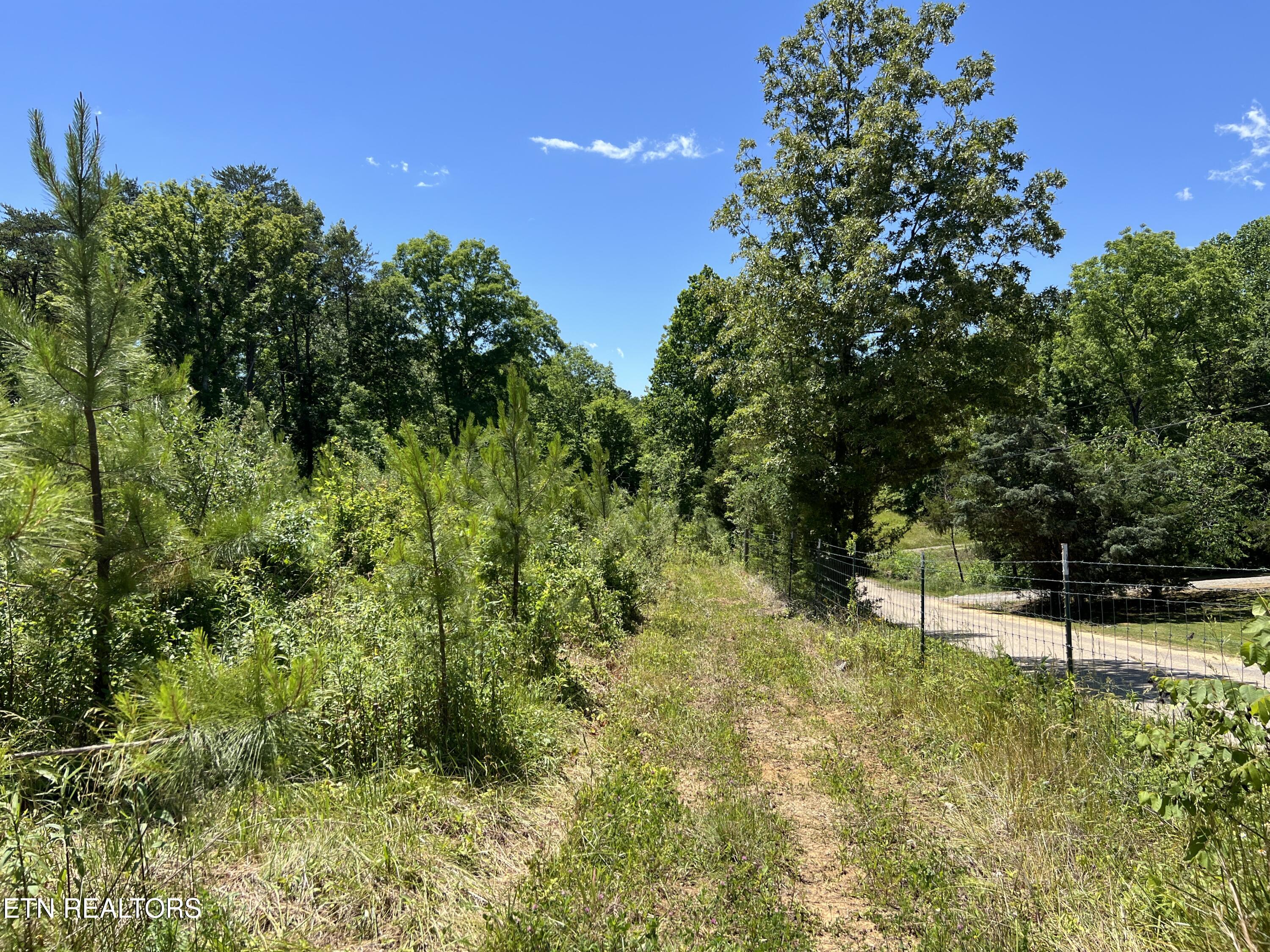 256 Atkins Road Madisonville TN 37354