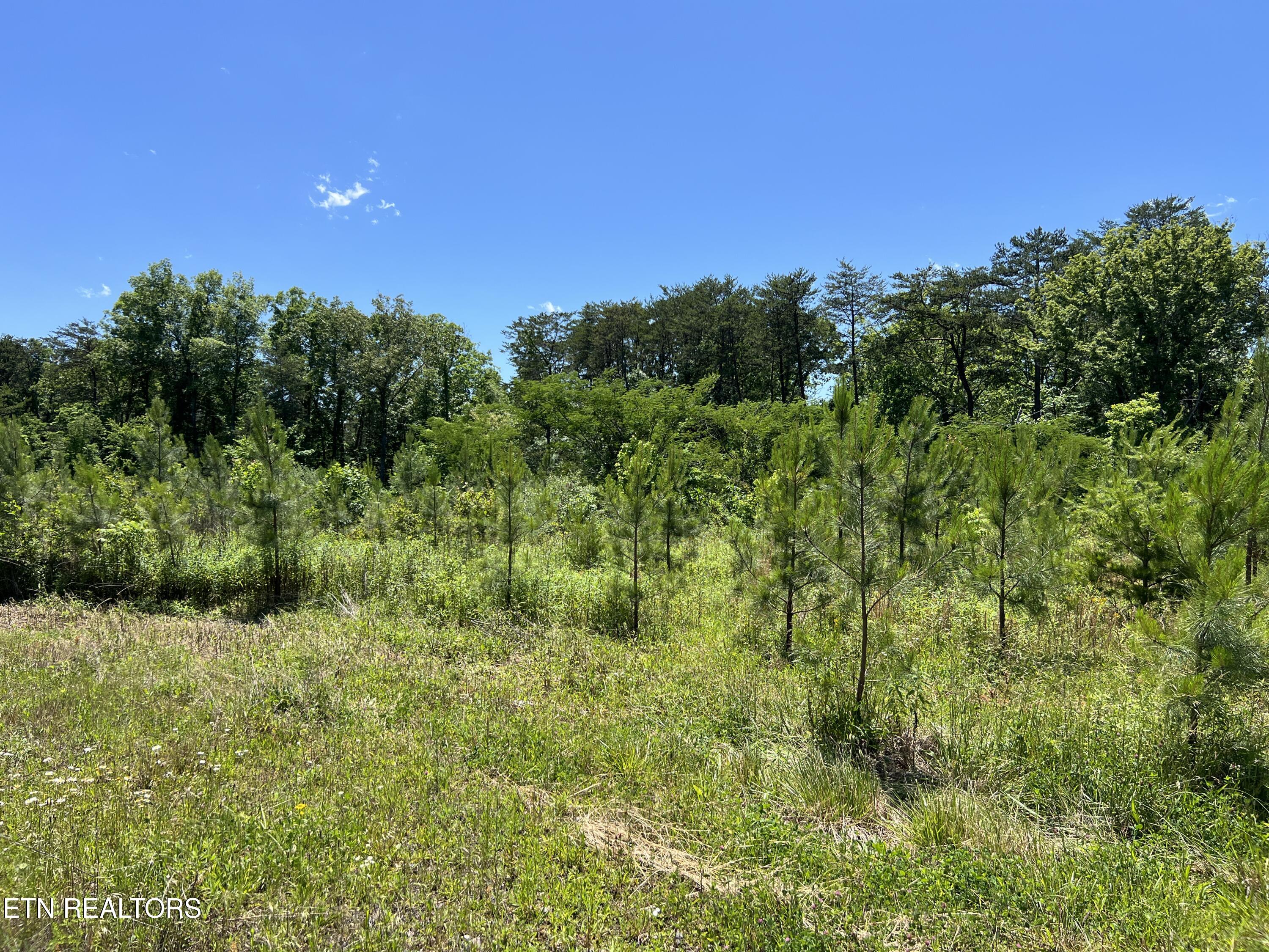 256 Atkins Road Madisonville TN 37354