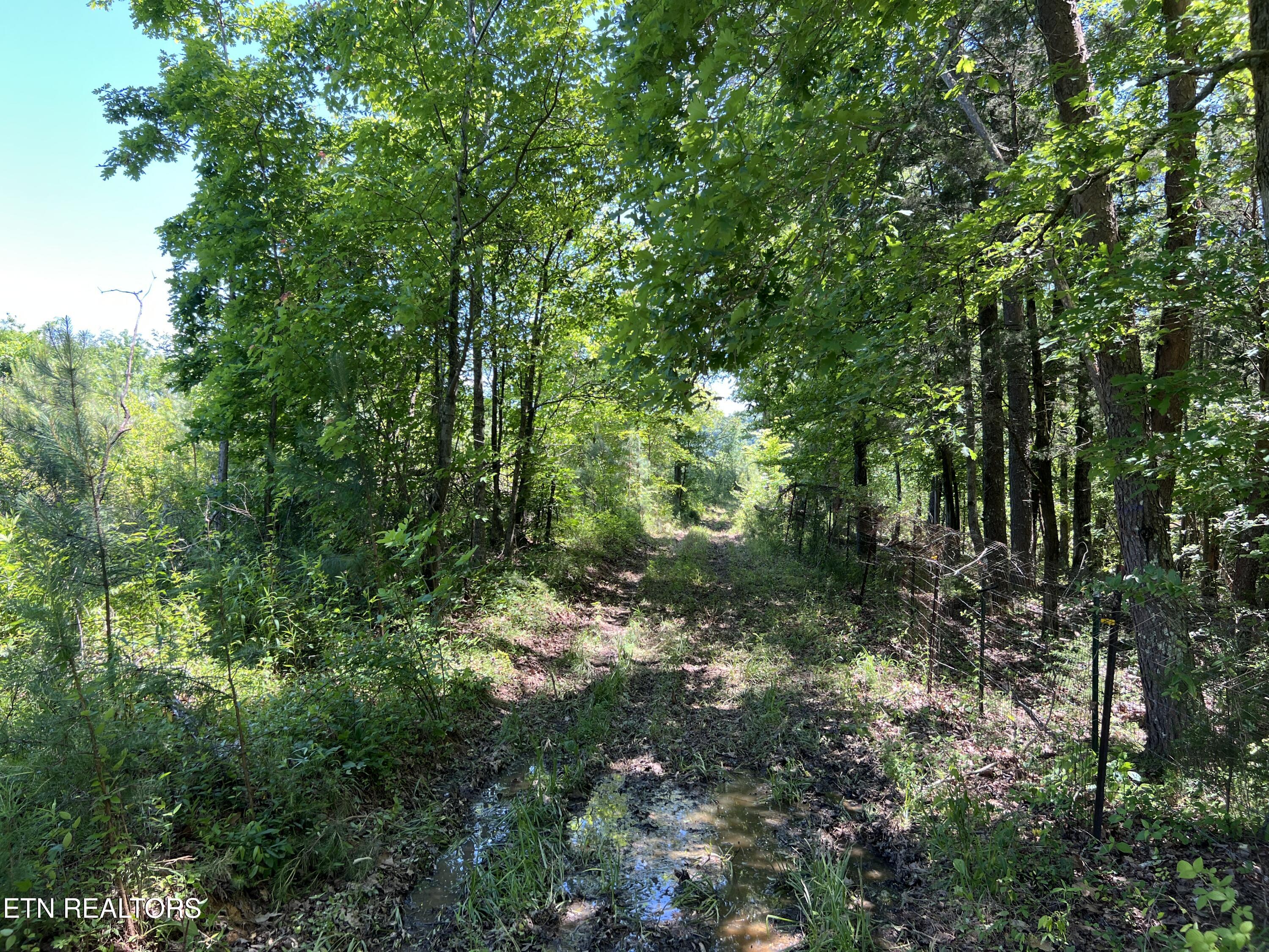 256 Atkins Road Madisonville TN 37354
