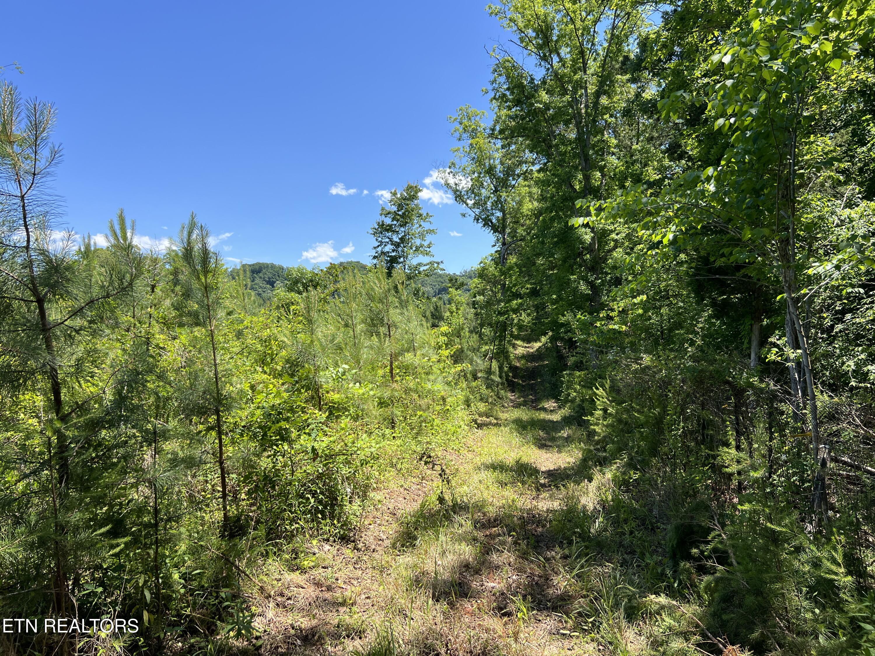 256 Atkins Road Madisonville TN 37354