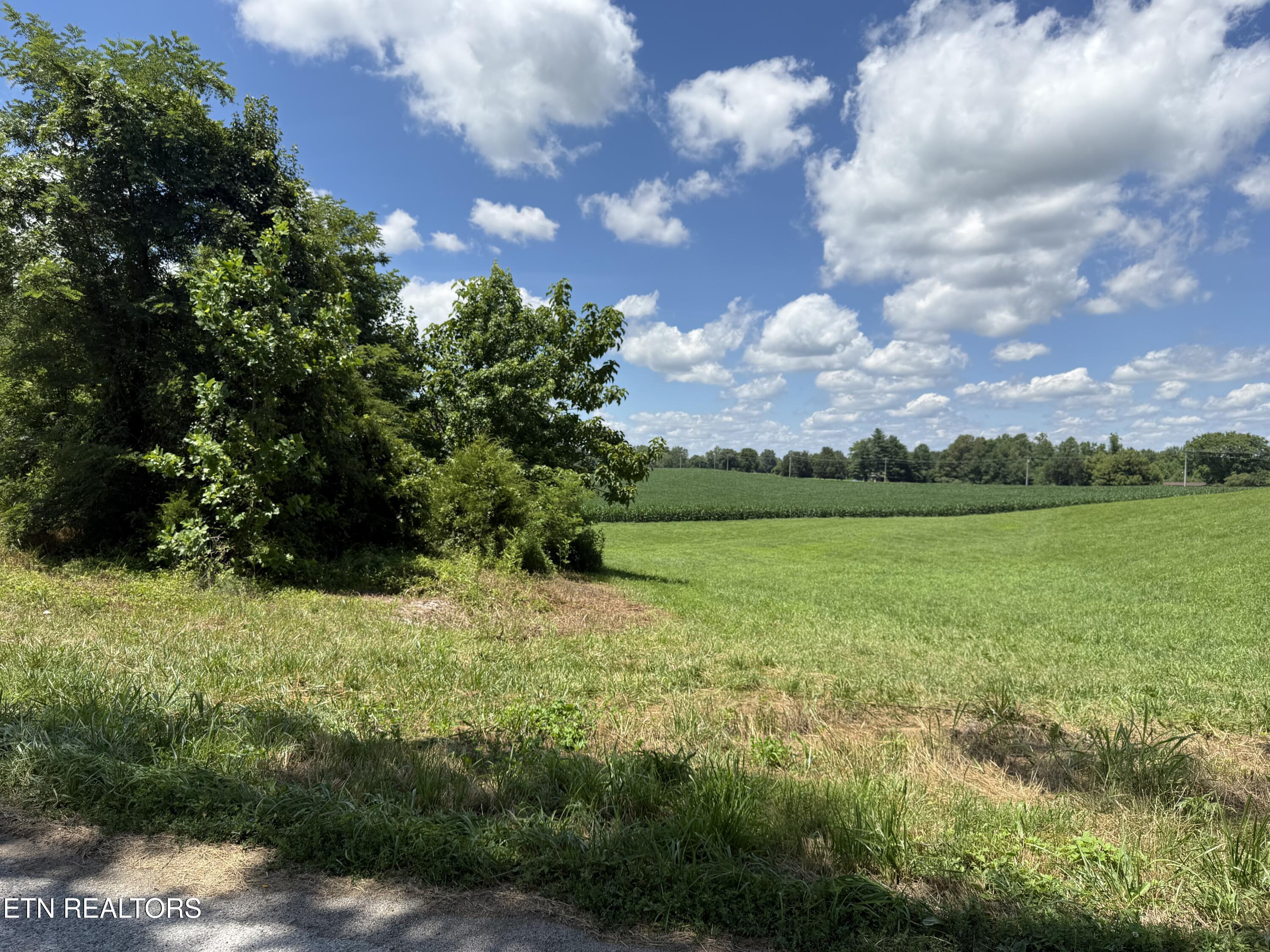 Dogwalk Road Alpine TN 38543