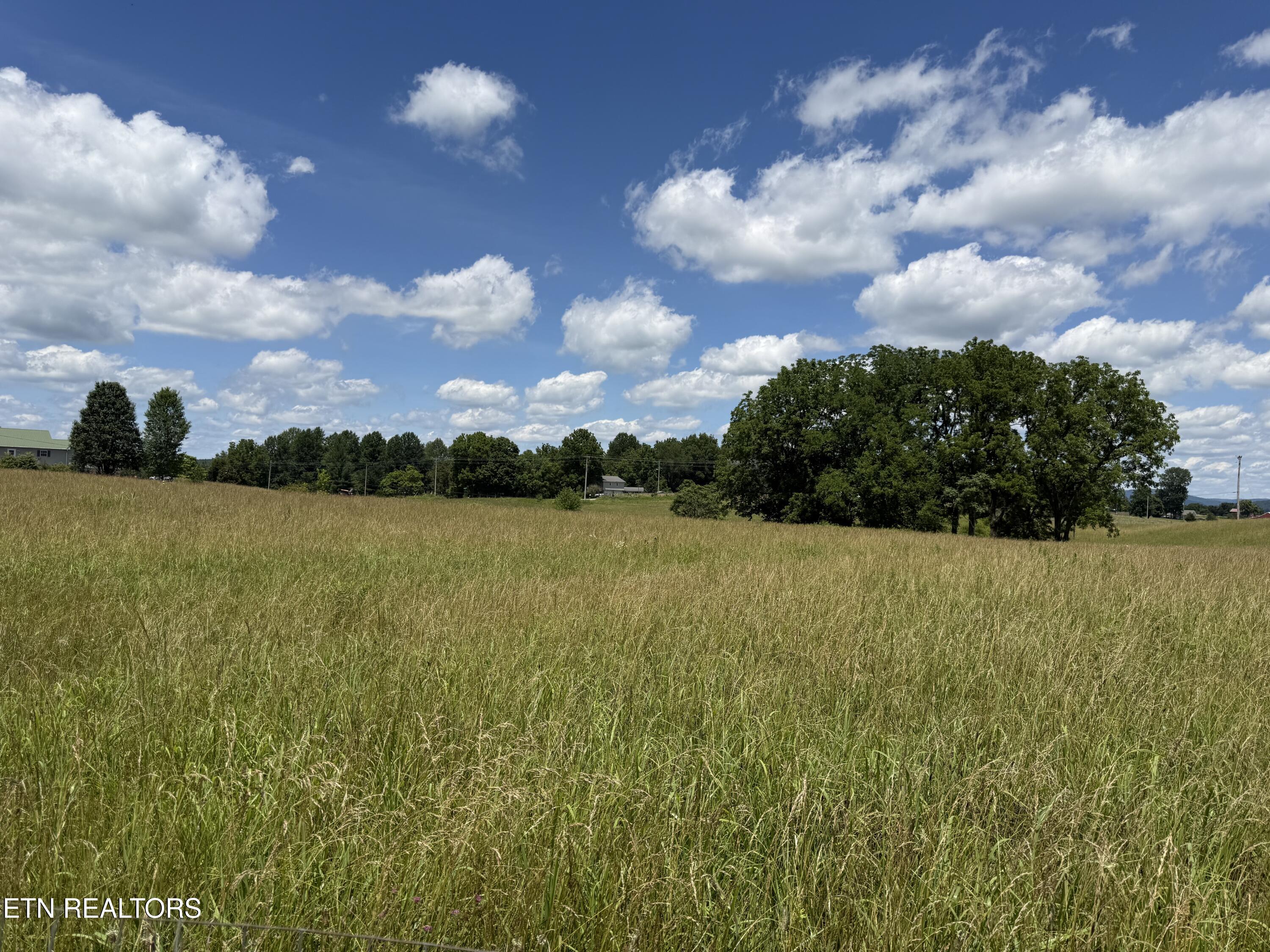 Dogwalk Road Alpine TN 38543