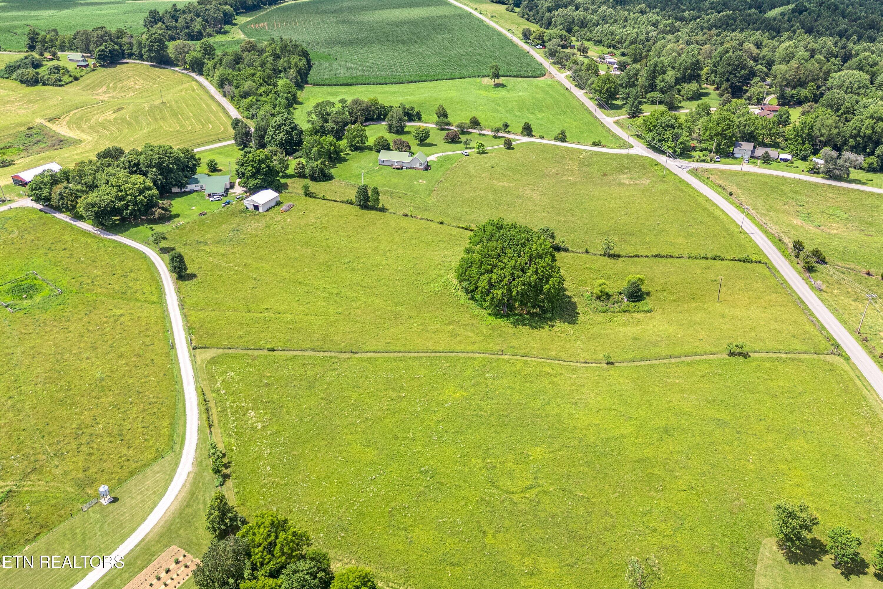 Dogwalk Road Alpine TN 38543