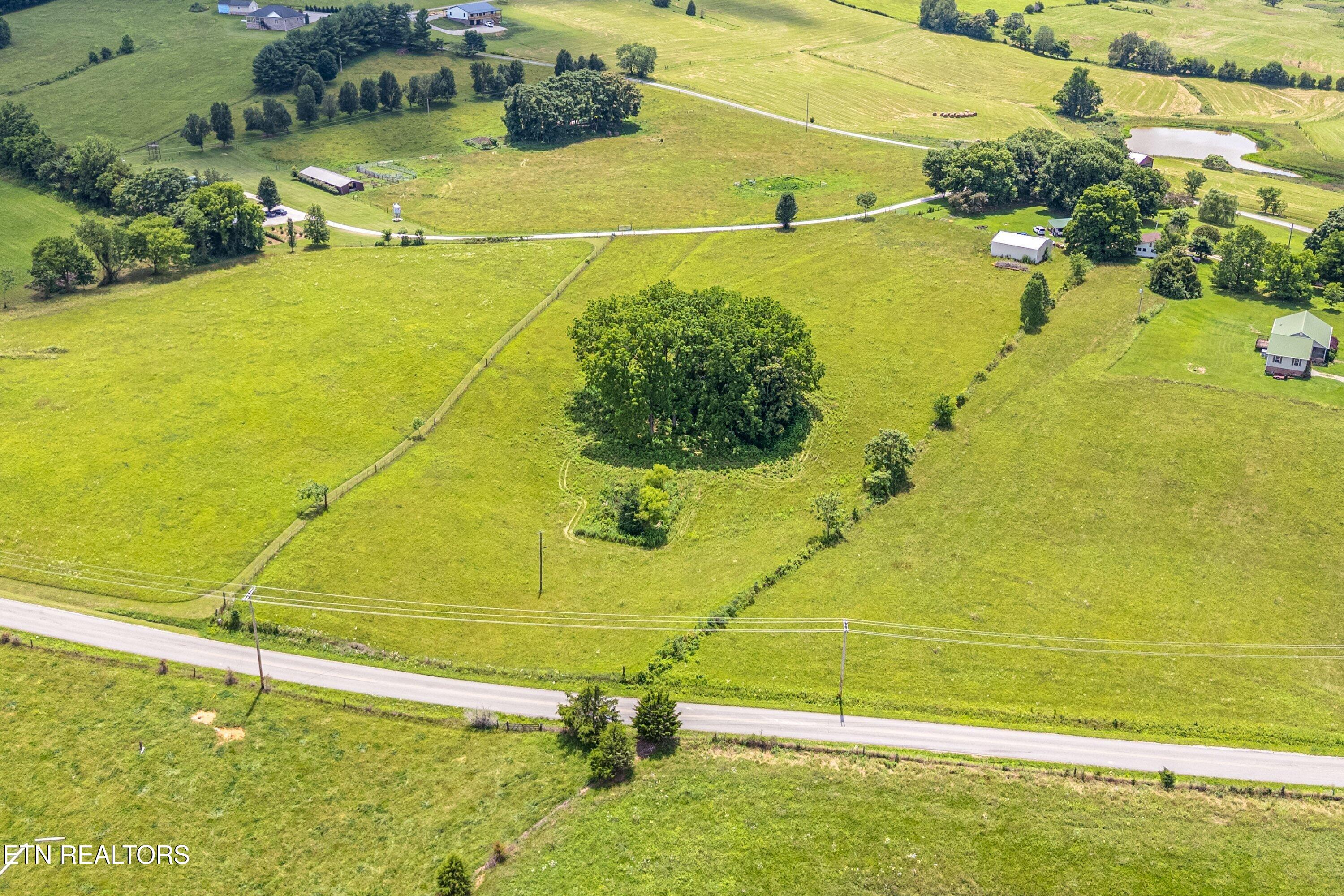 Dogwalk Road Alpine TN 38543