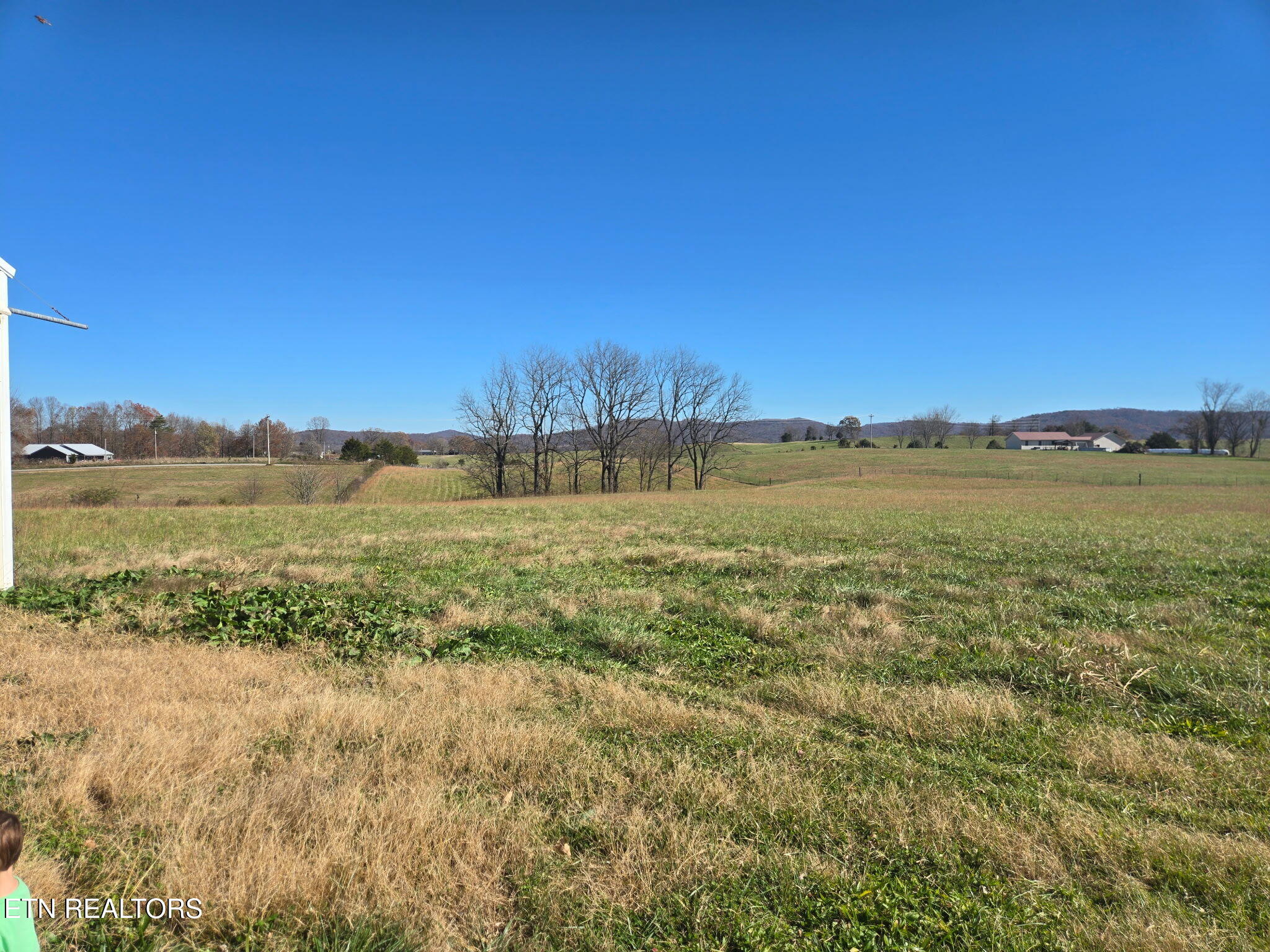 Dogwalk Road Alpine TN 38543