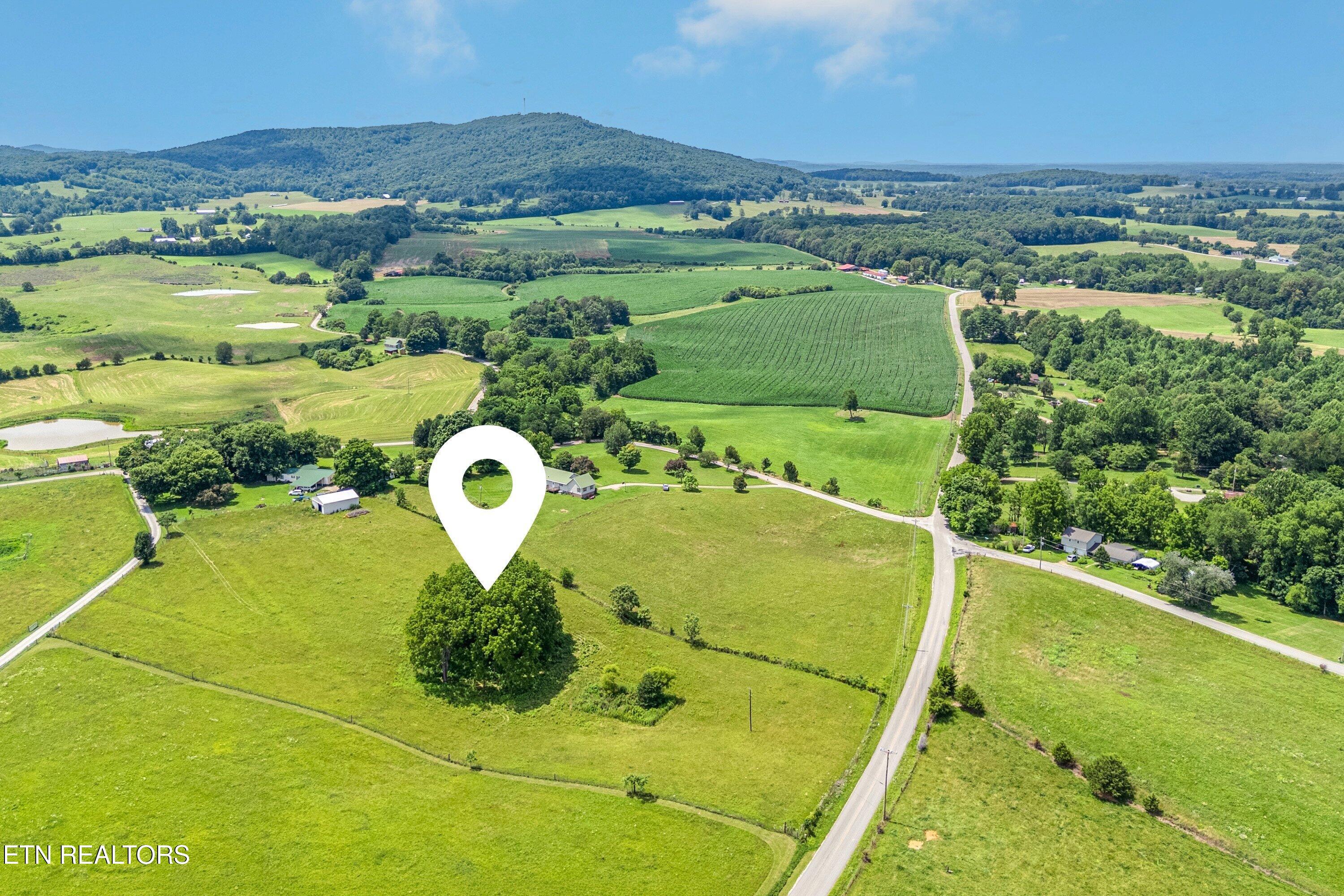 Dogwalk Road Alpine TN 38543