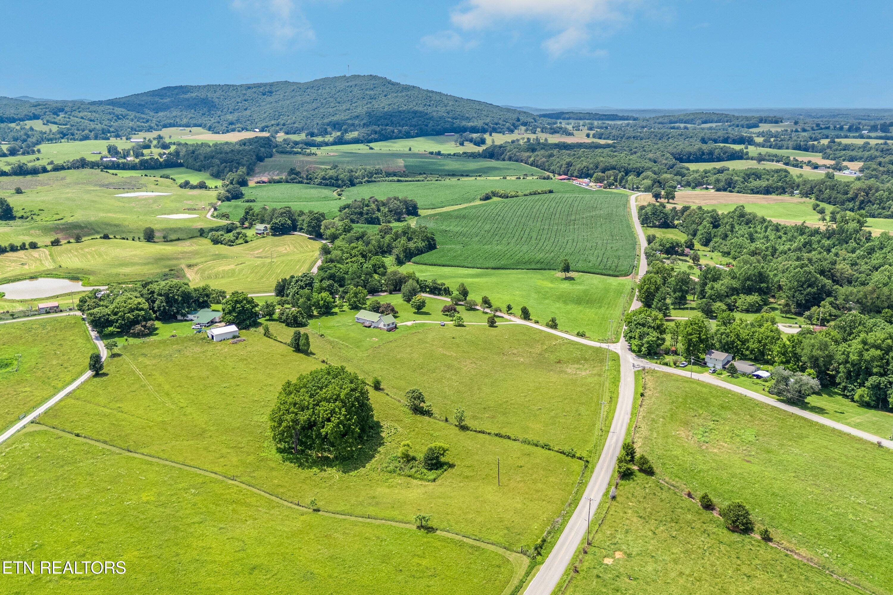 Dogwalk Road Alpine TN 38543