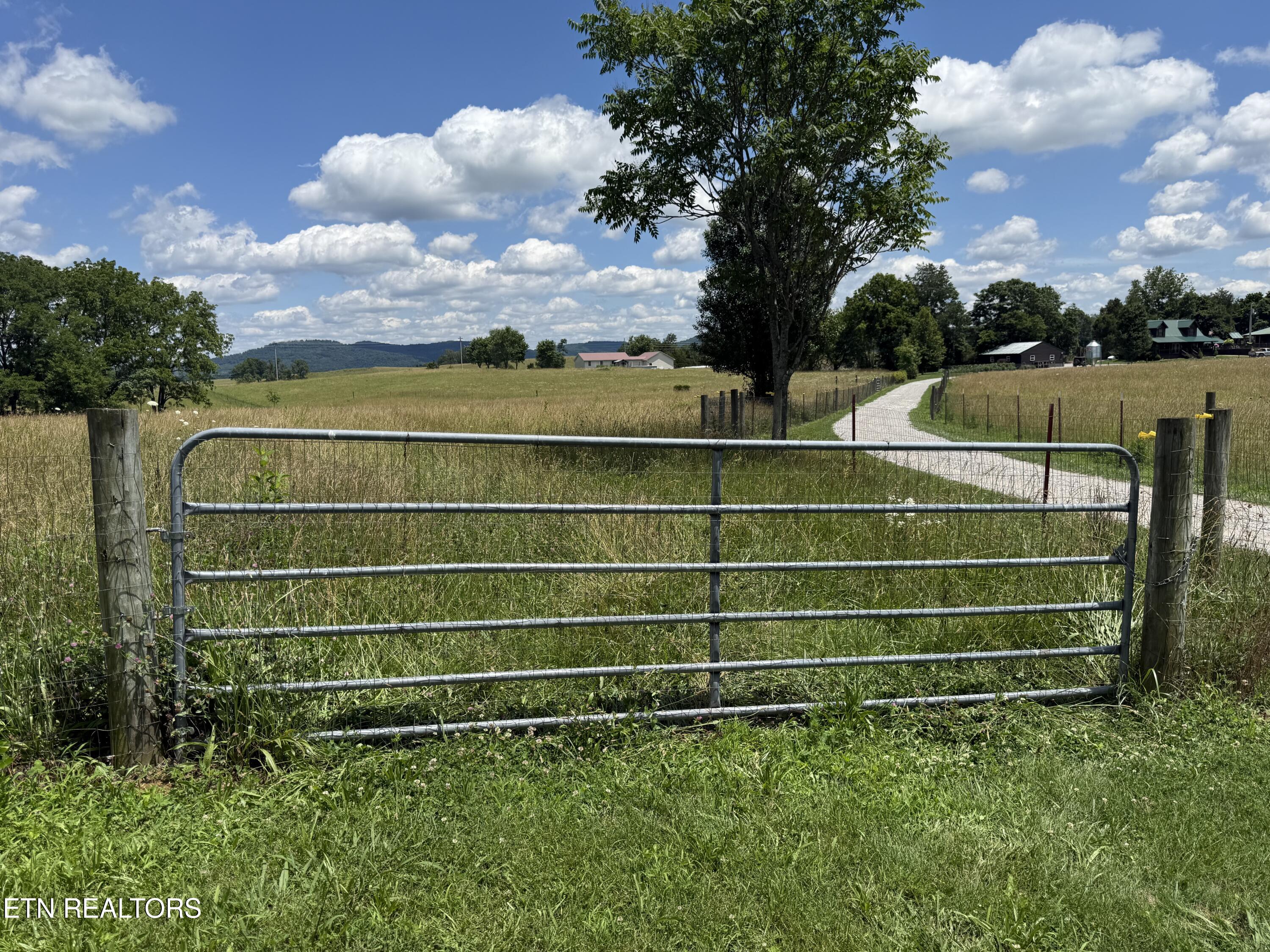 Dogwalk Road Alpine TN 38543