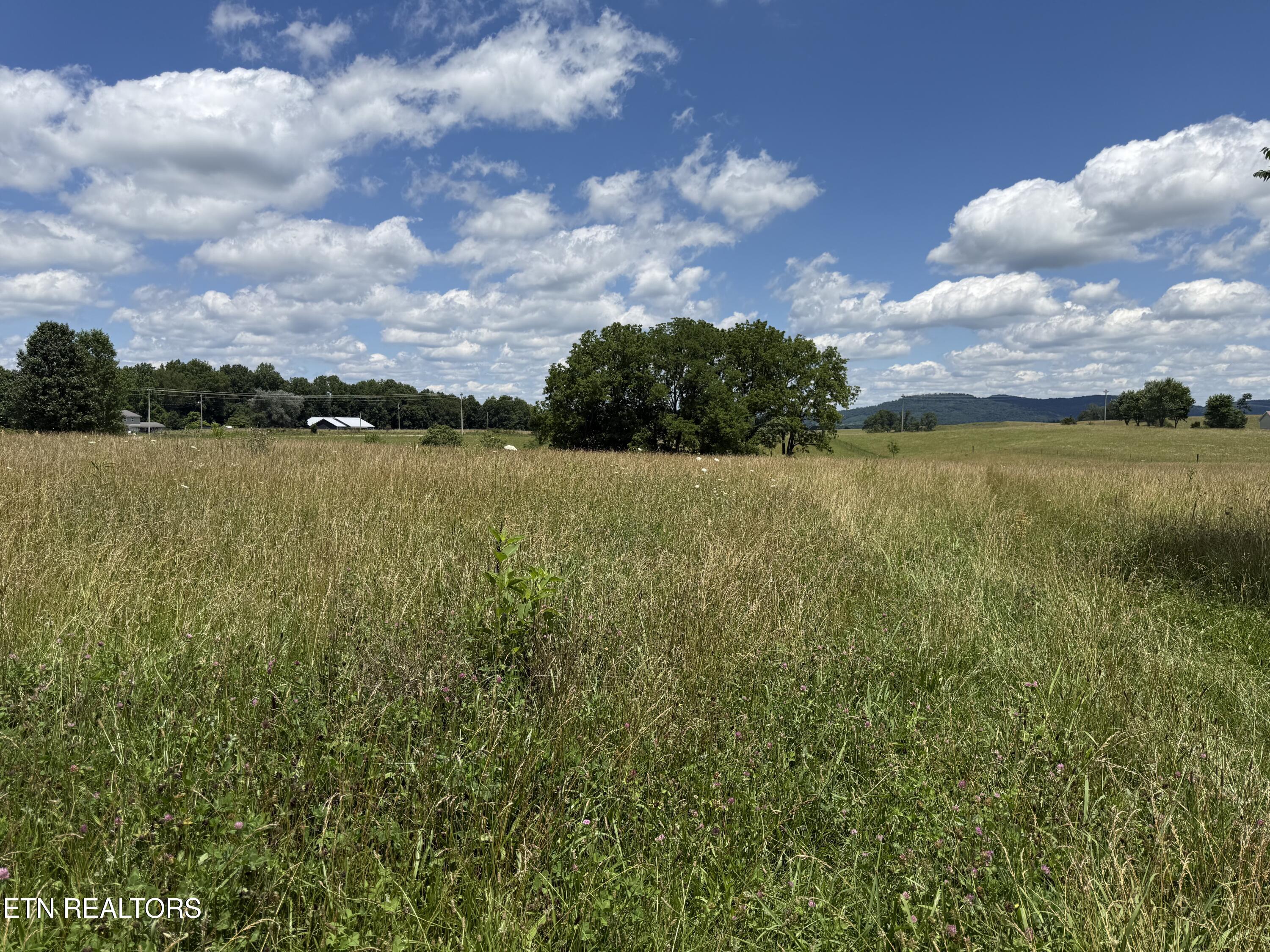 Dogwalk Road Alpine TN 38543