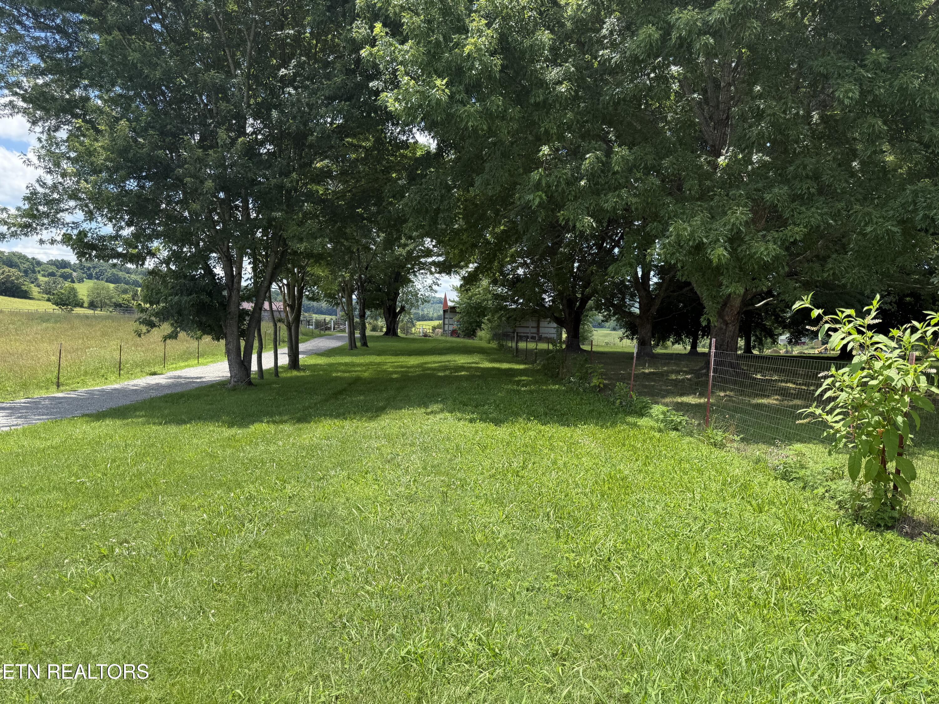 Dogwalk Road Alpine TN 38543