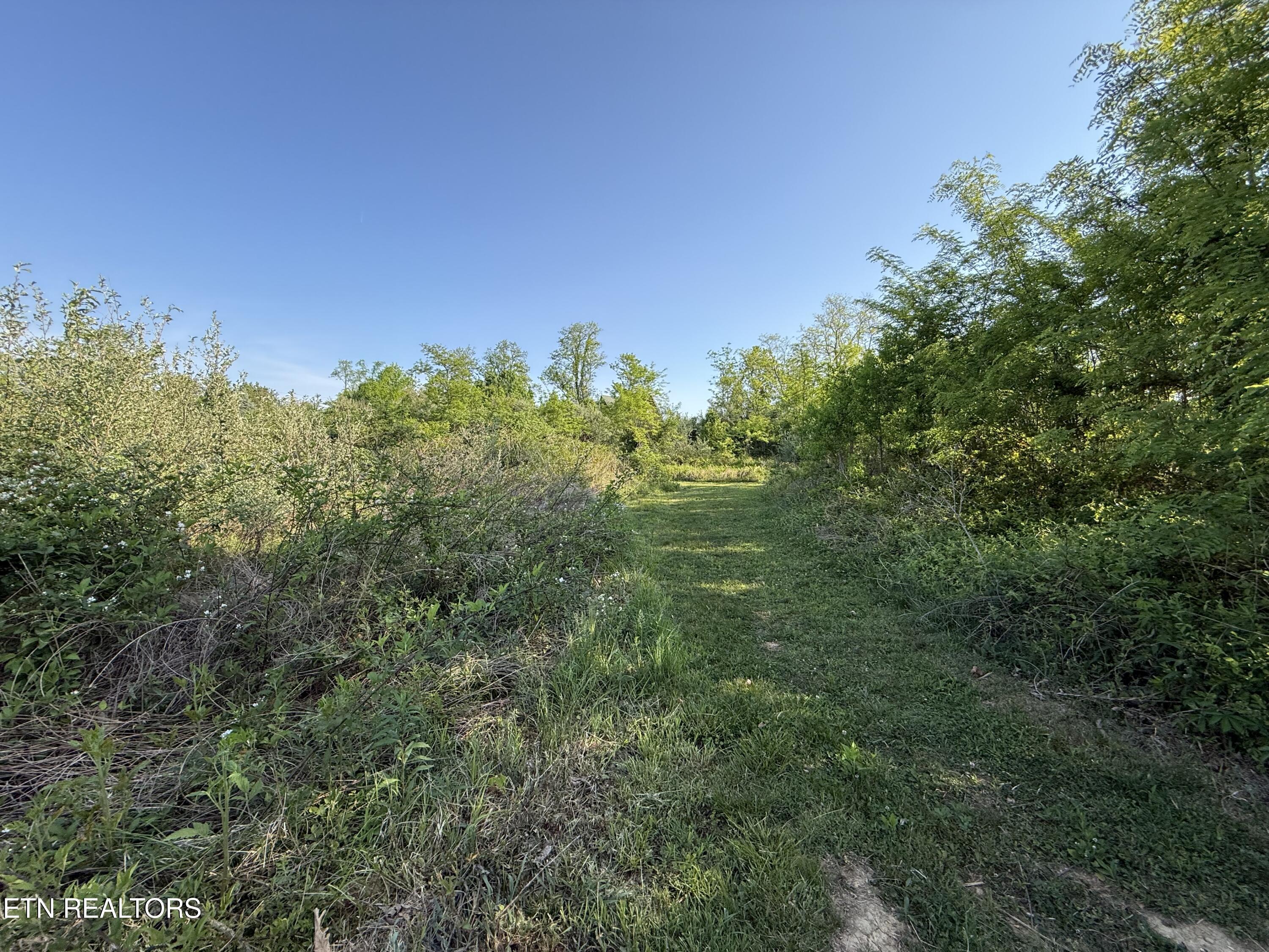 Racoon Lane Pioneer TN 37847