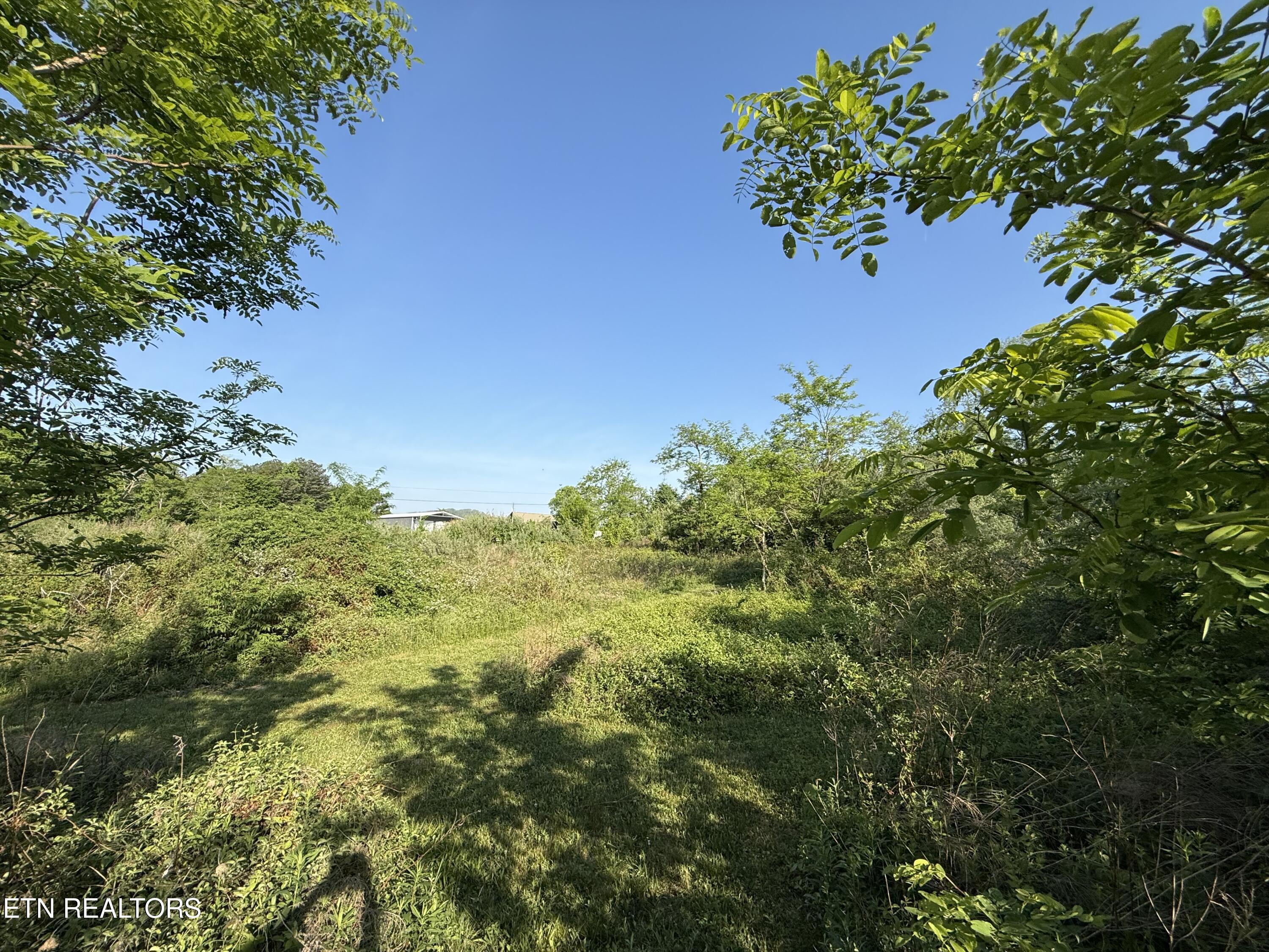 Racoon Lane Pioneer TN 37847
