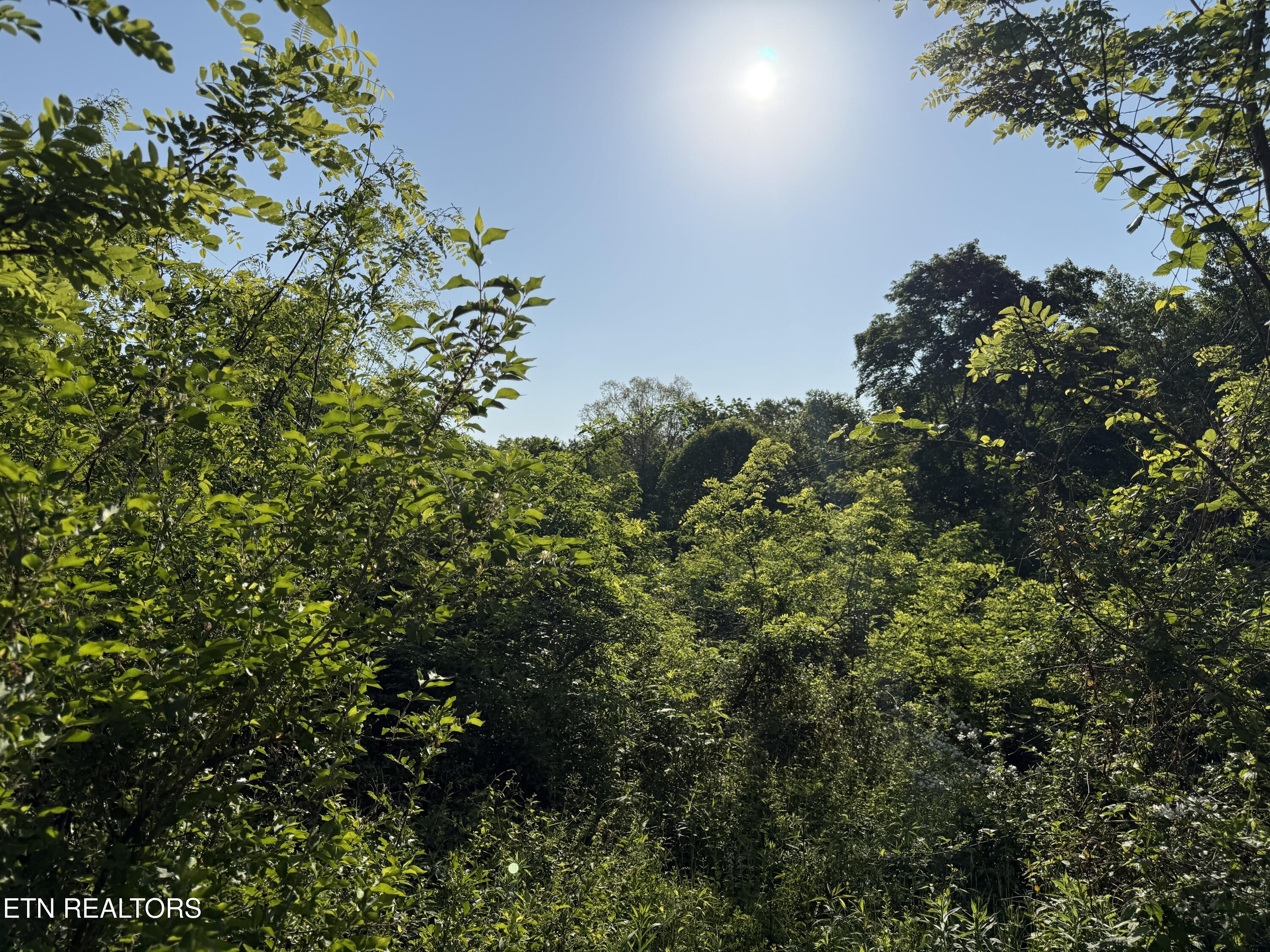 Racoon Lane Pioneer TN 37847