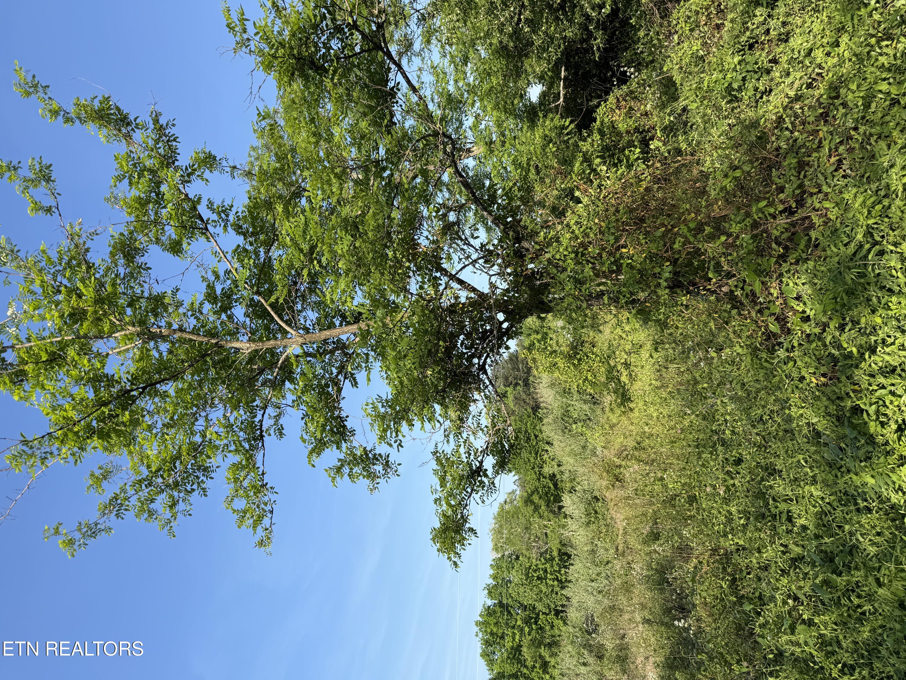Racoon Lane Pioneer TN 37847