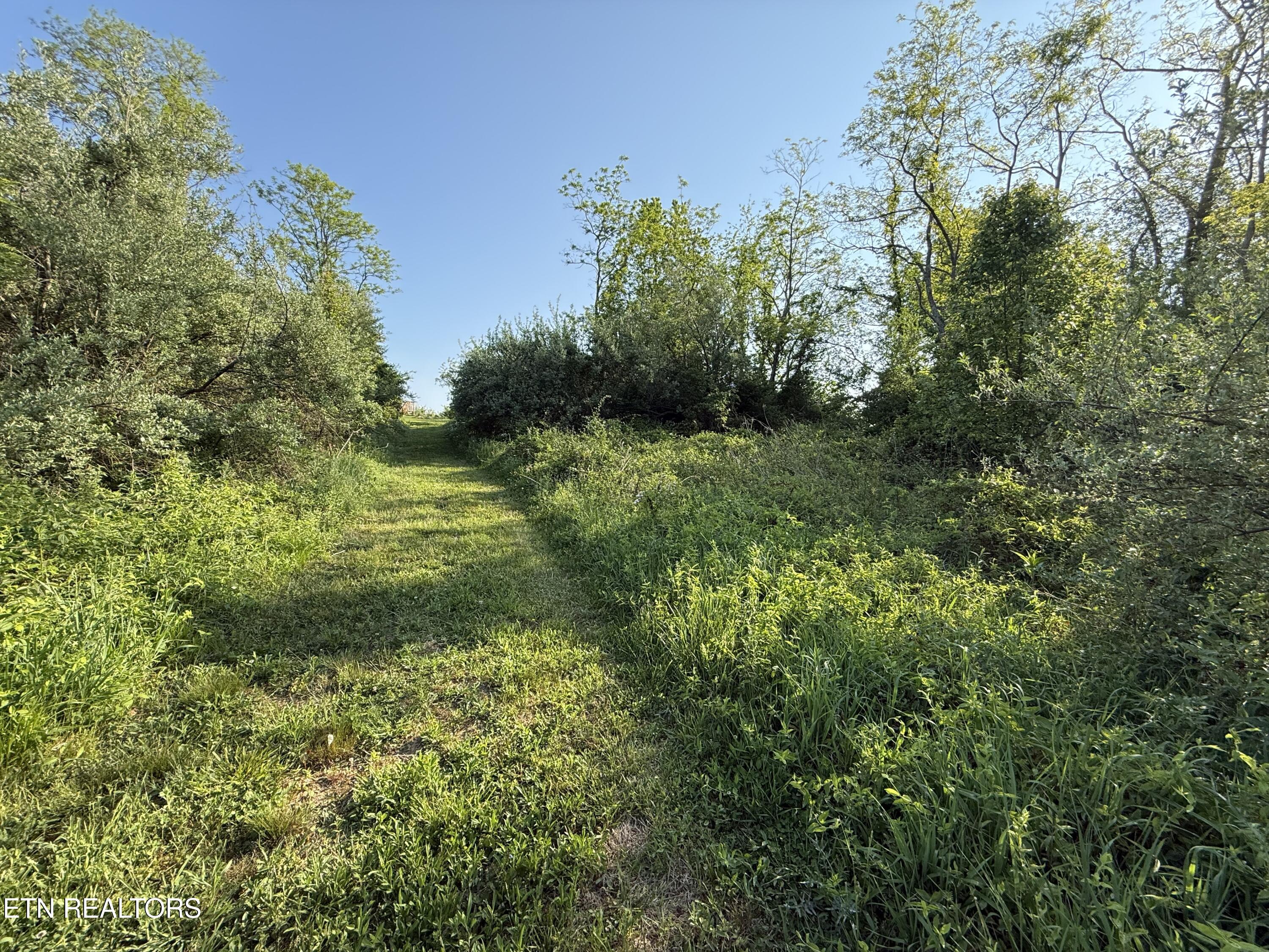 Racoon Lane Pioneer TN 37847