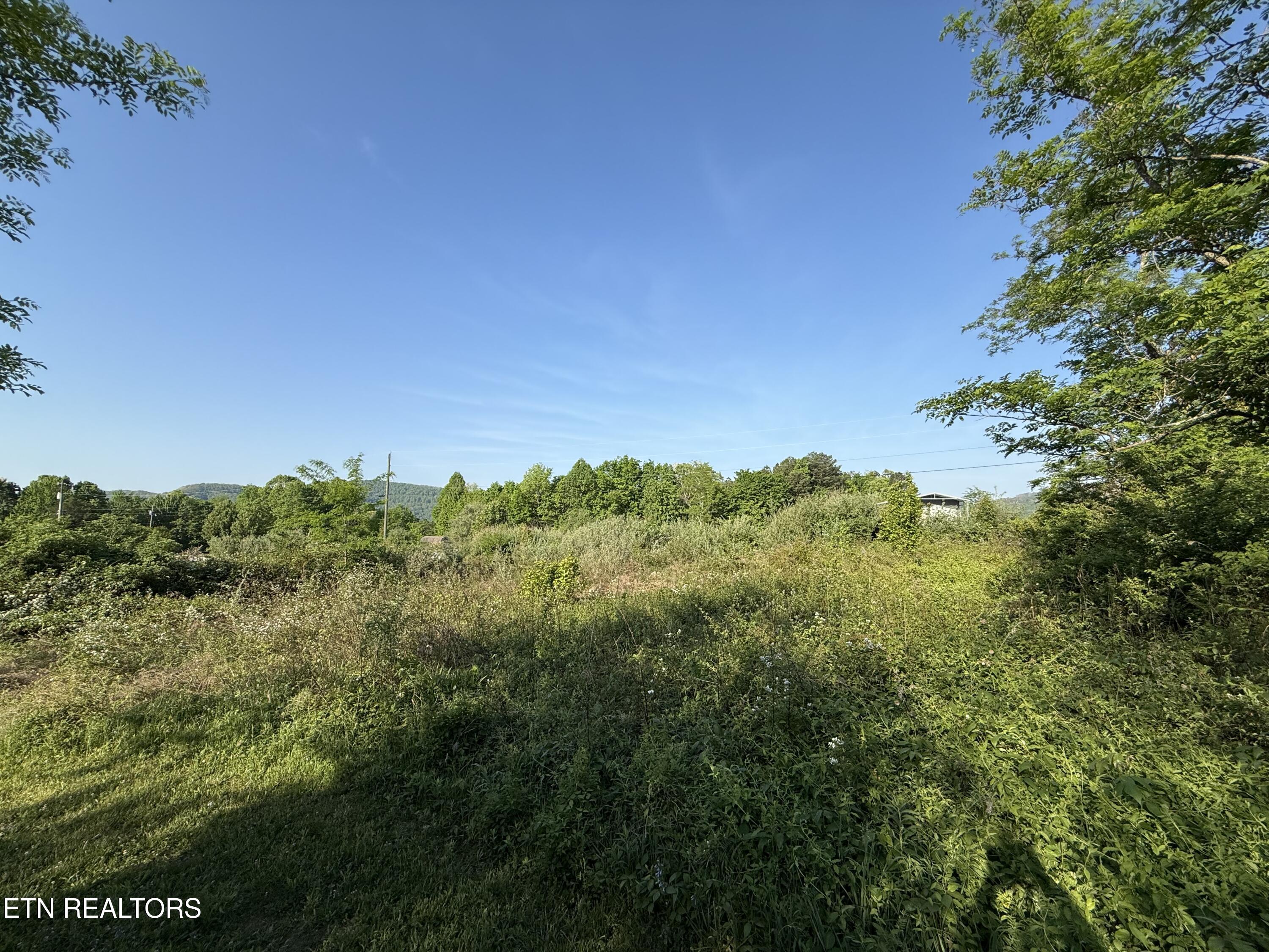 Racoon Lane Pioneer TN 37847