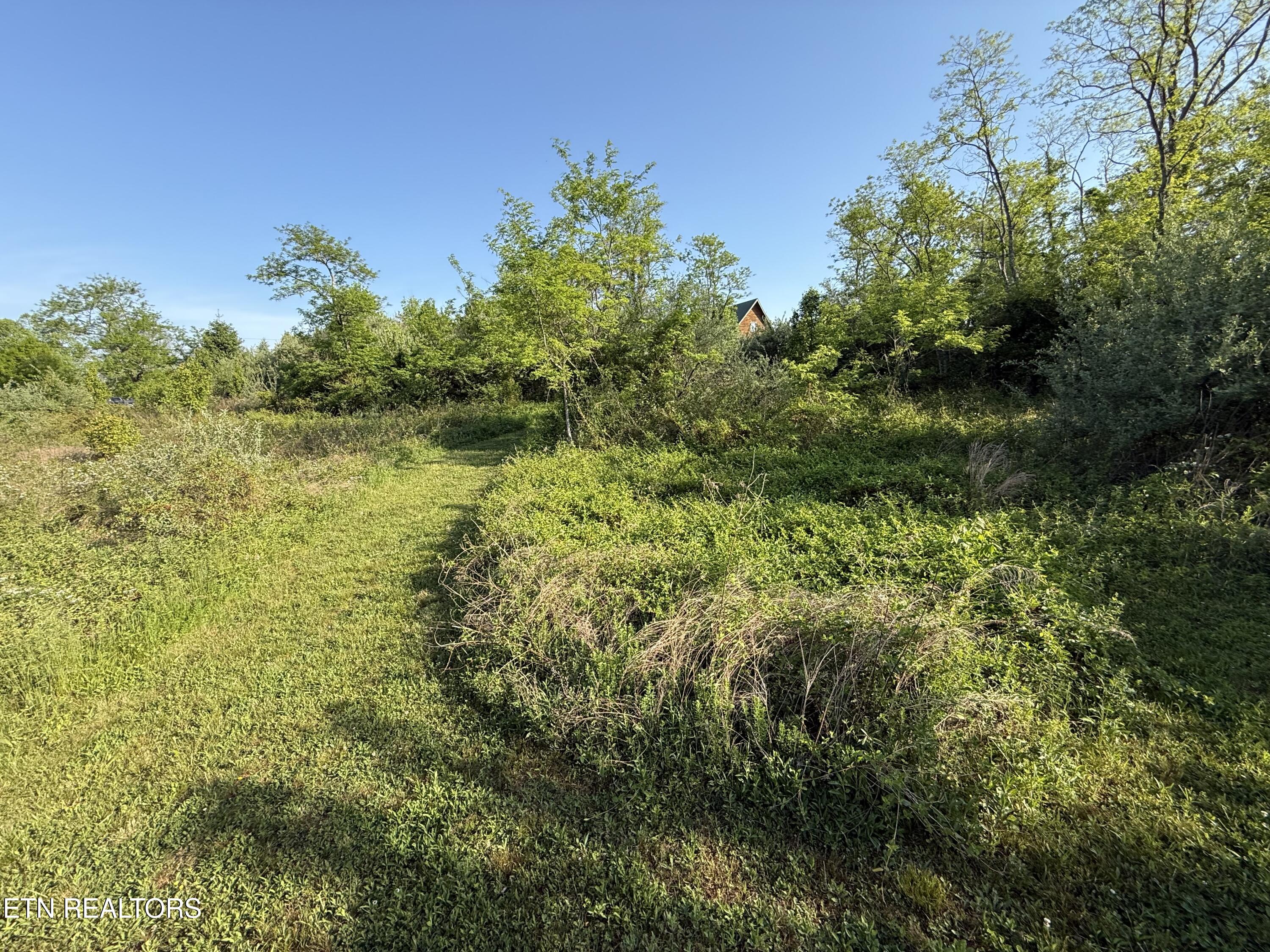 Racoon Lane Pioneer TN 37847