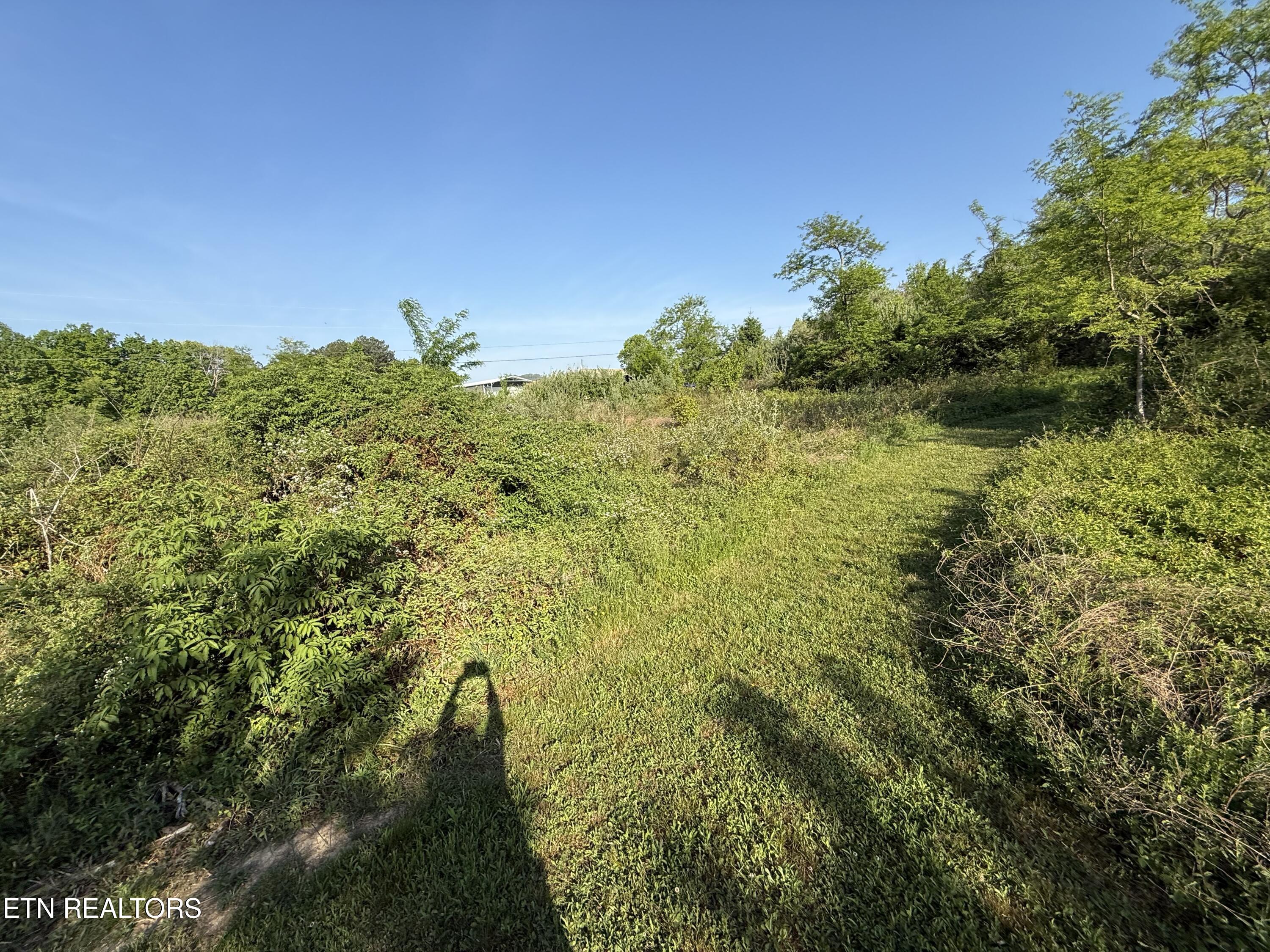 Racoon Lane Pioneer TN 37847