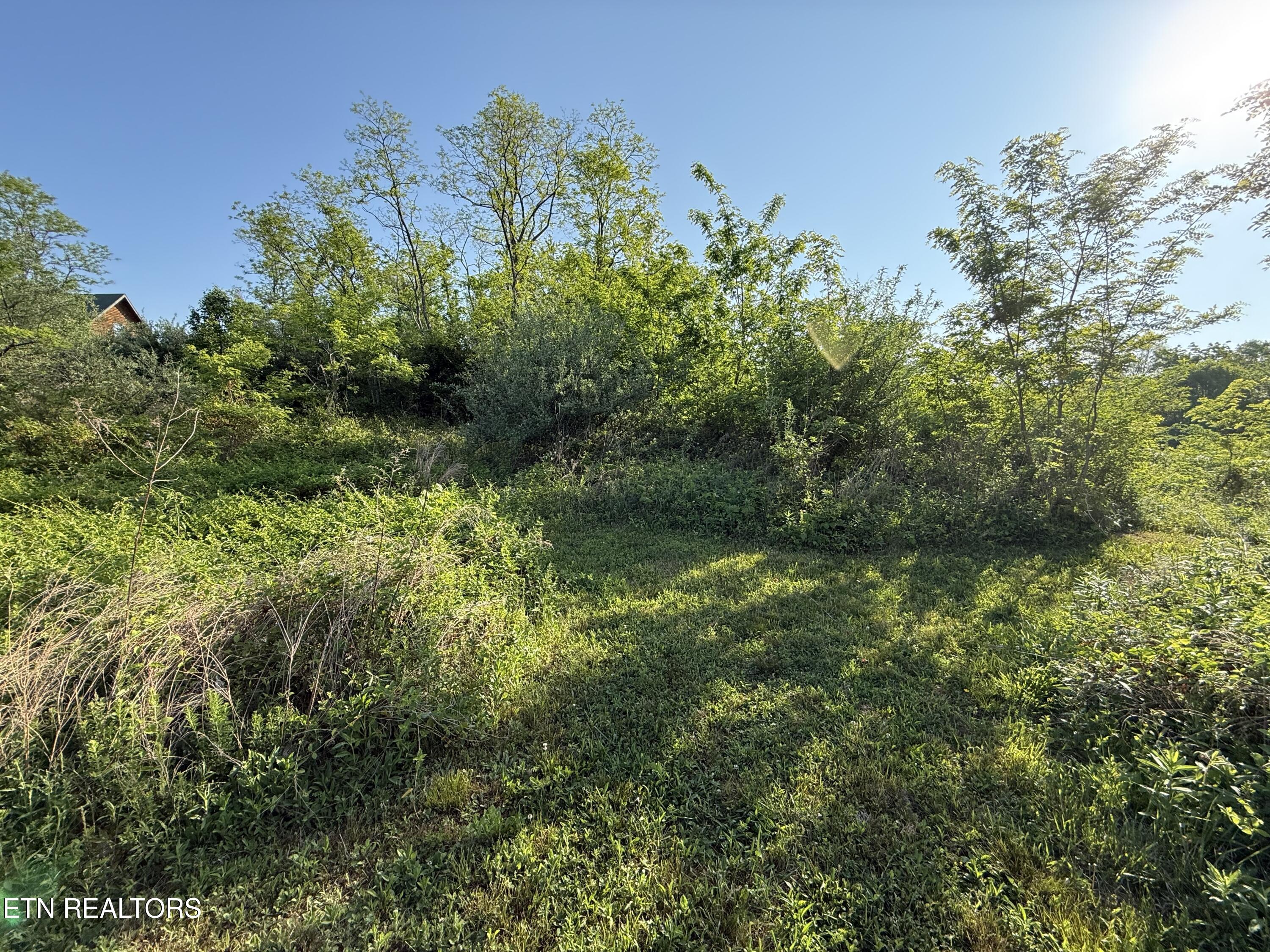 Racoon Lane Pioneer TN 37847