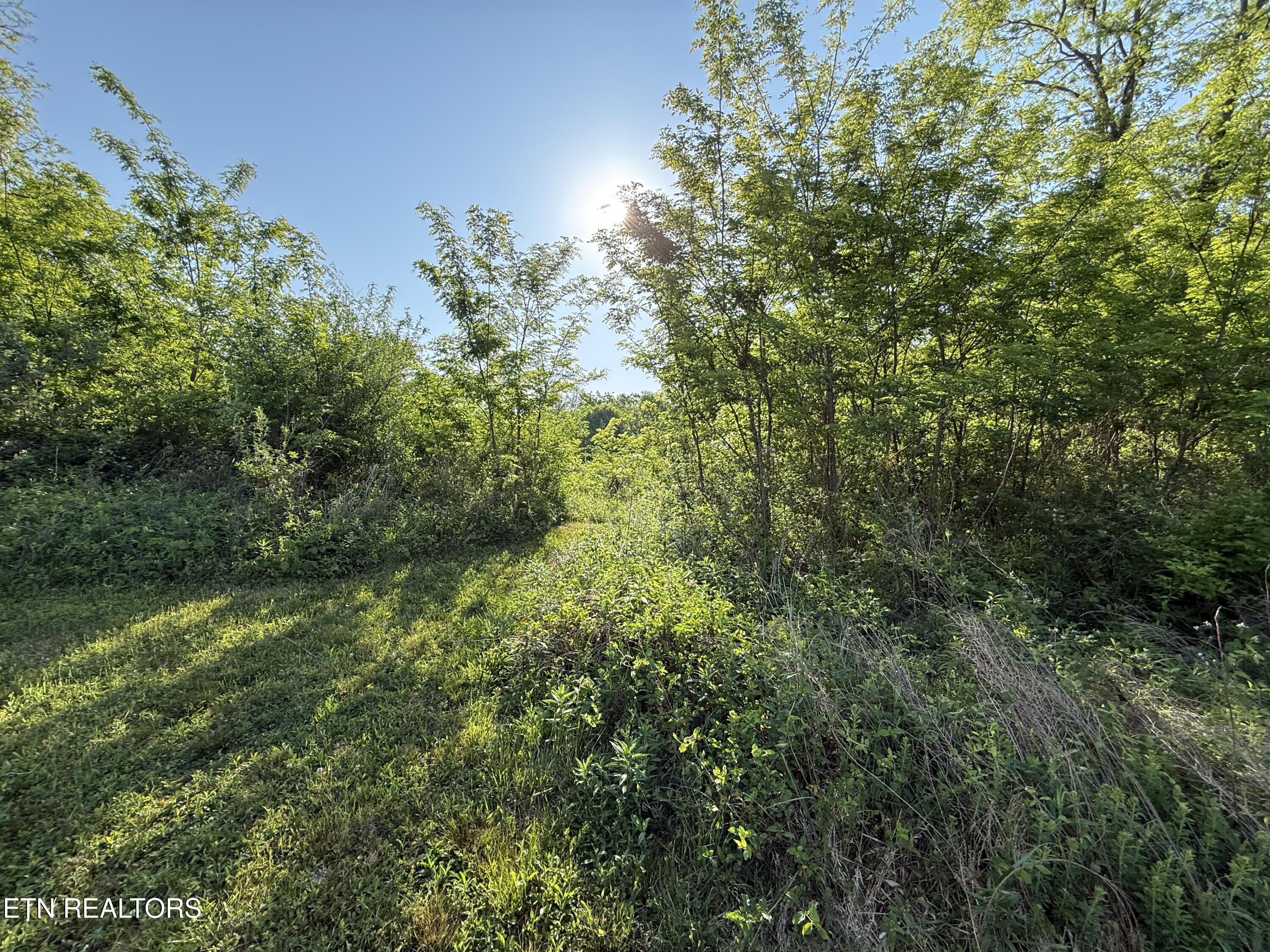 Racoon Lane Pioneer TN 37847